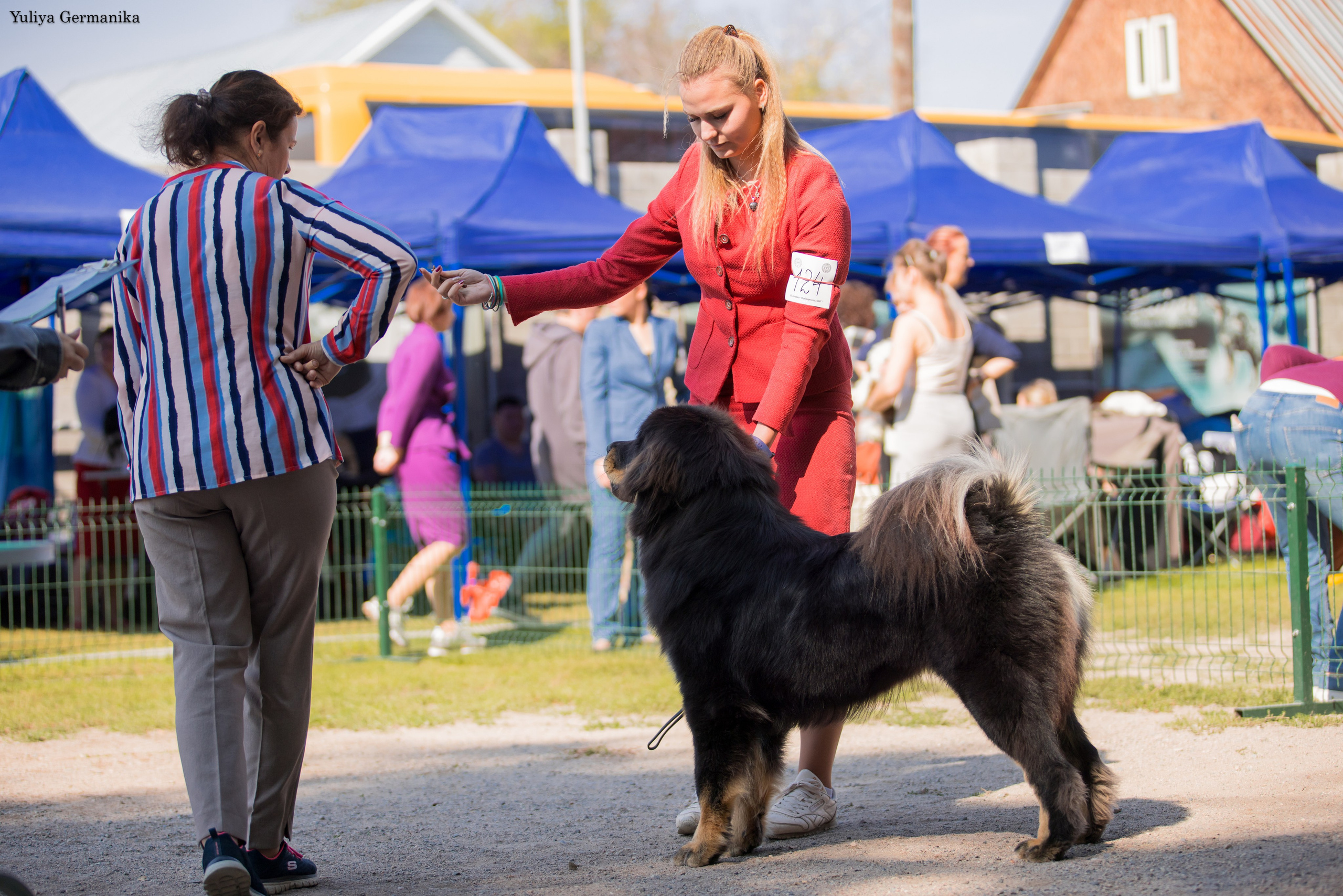 Бишкек 29.09-01.10.2023. Фотограф-анималист Юлия Германика