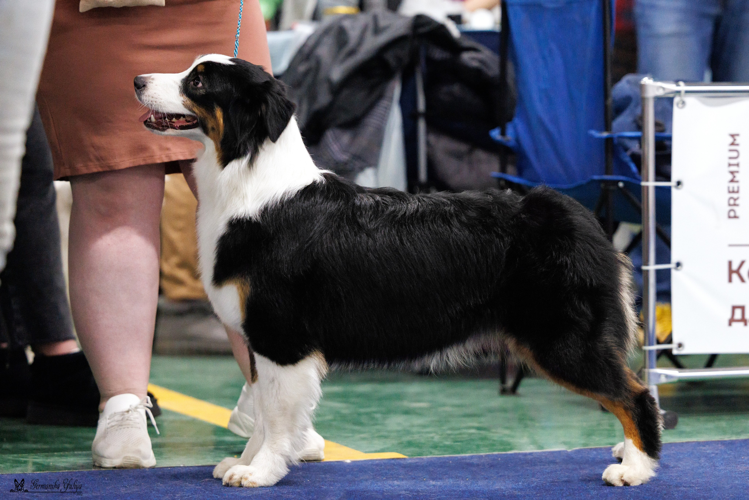 Сфера 28.01. и 4.02.2024. Фотограф-анималист Юлия Германика