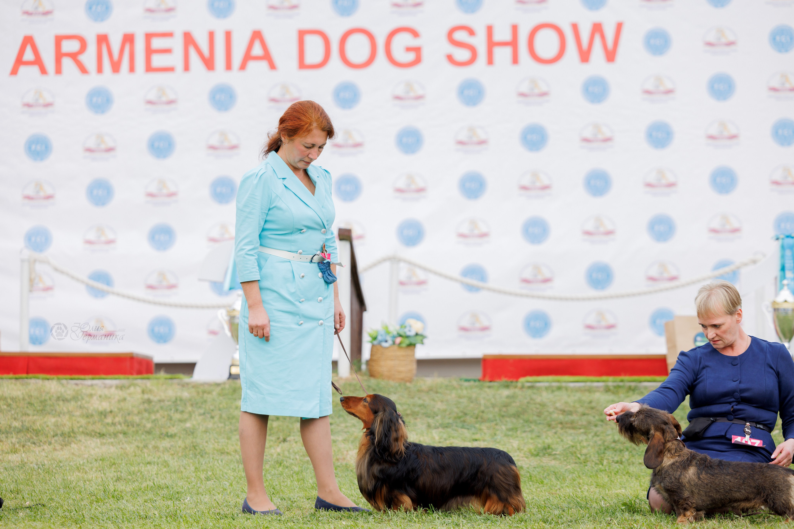 Армения,Ереван 3хCACIB 15-17.10.2024. Фотограф-анималист Юлия Германика