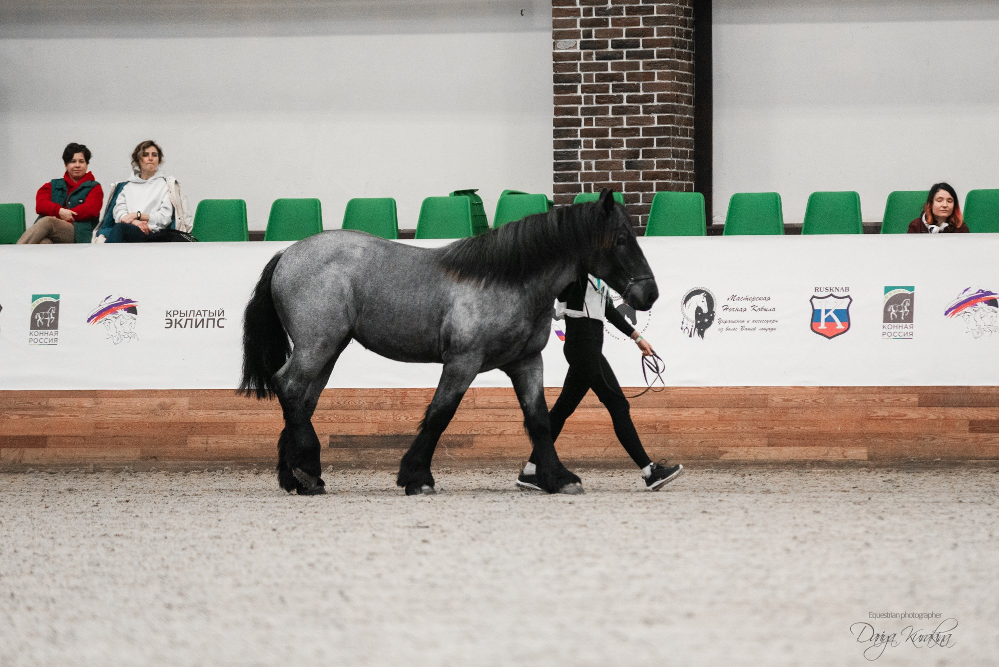 8-я международная выставка Конная Россия. Конный фотограф Куракина Дарья • Фотосессии с лошадьми