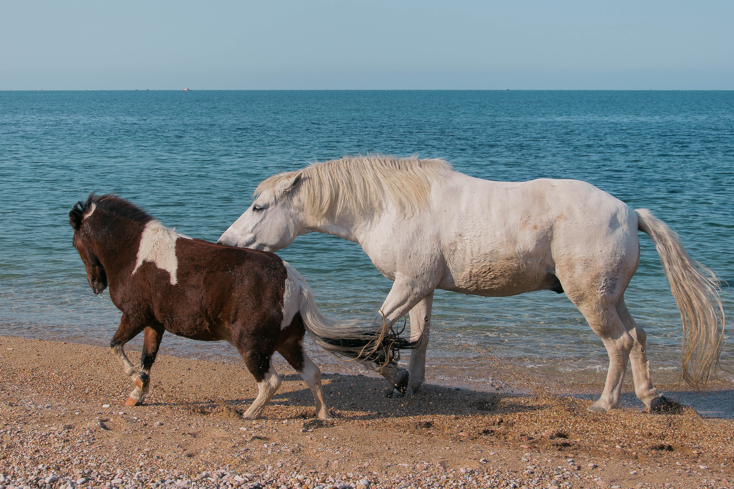 Миф и Фунтик. Фотограф в Севастополе