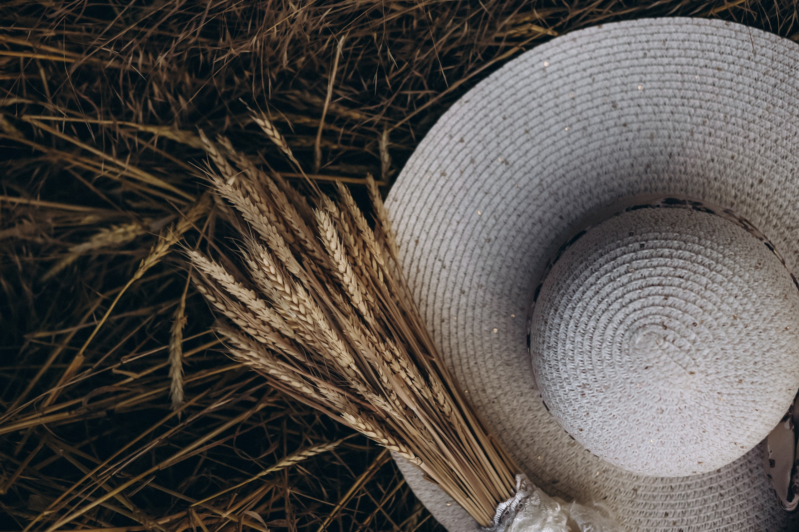 Поле. Коммерческий фотограф. Ростов-на-Дону. Дарья Константинова