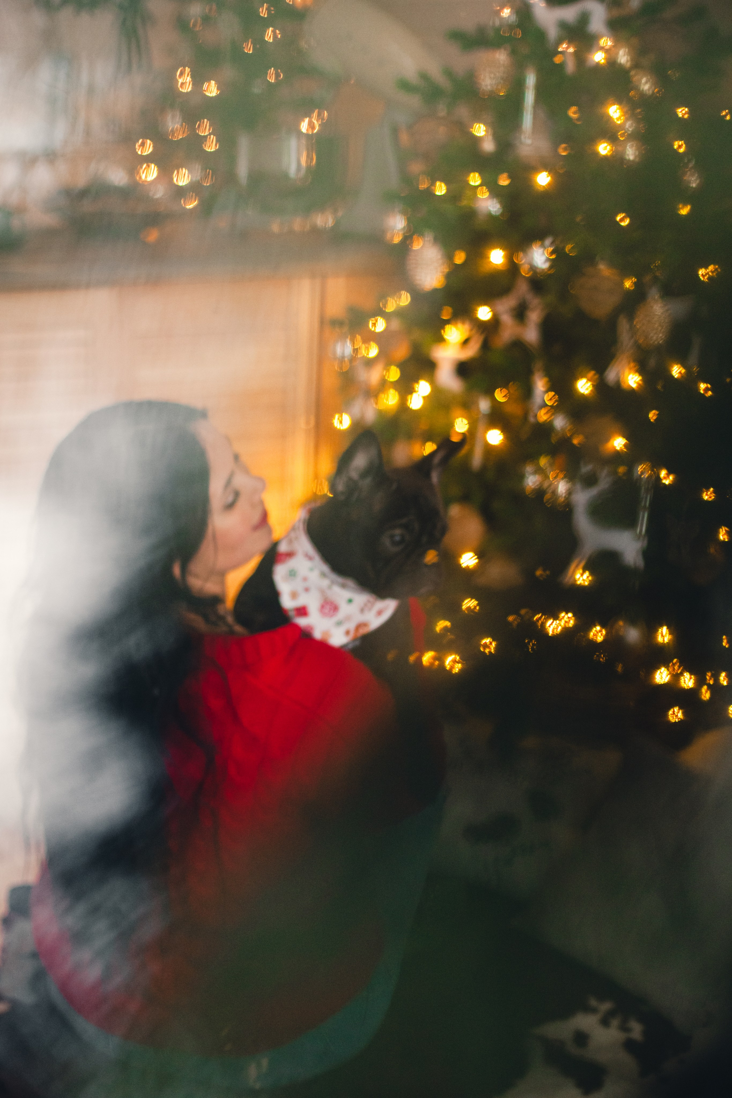 Кантри Хаус. Фотограф-анималист Татьяна Степанова