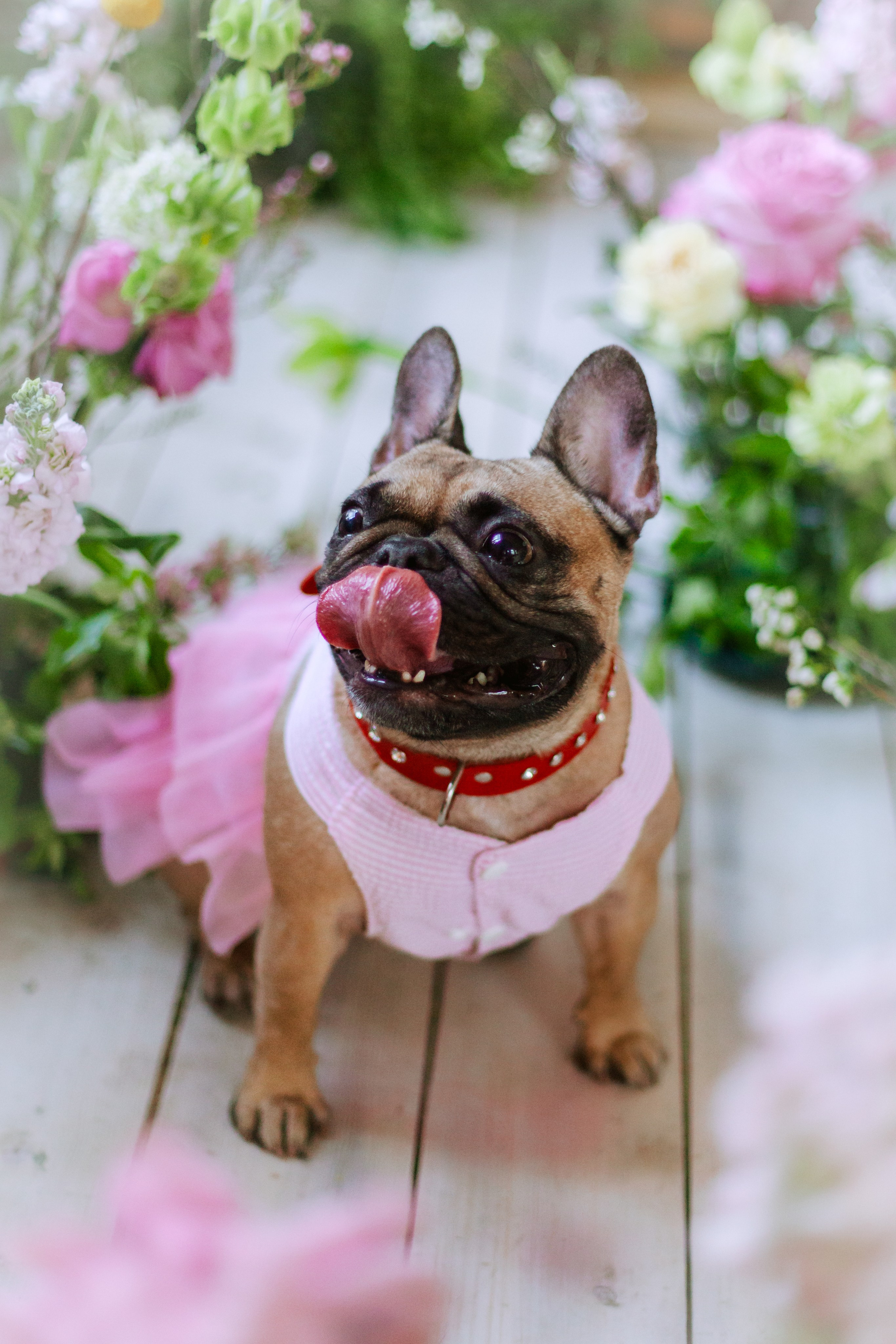 Наталья и Фрося. Фотограф-анималист Татьяна Степанова