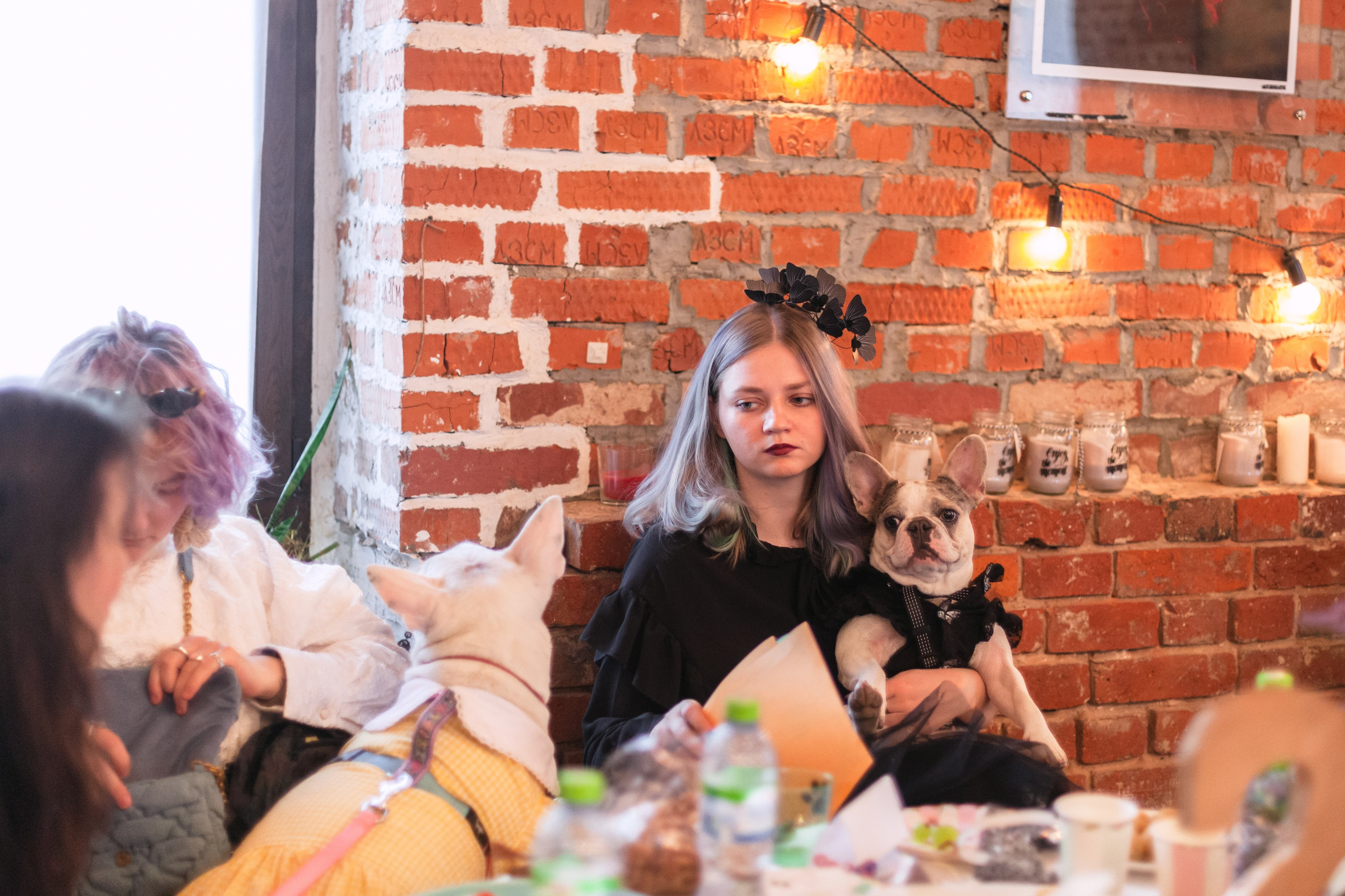 Бульбалл 23.04.2023. Фотограф-анималист Татьяна Степанова