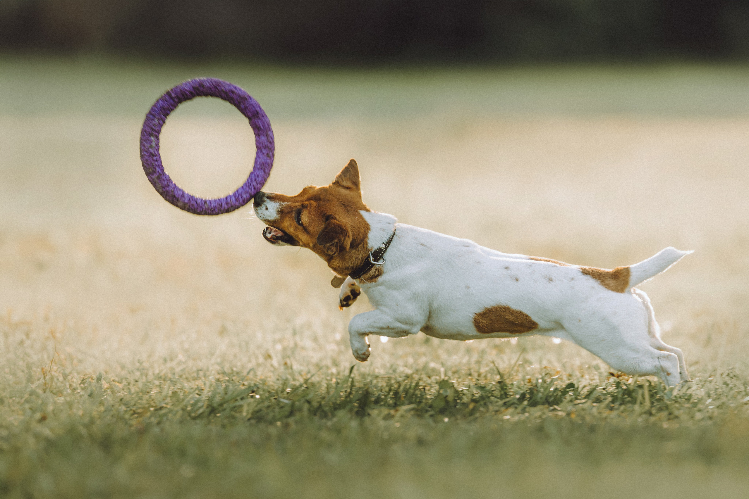 Шерри и ее семья