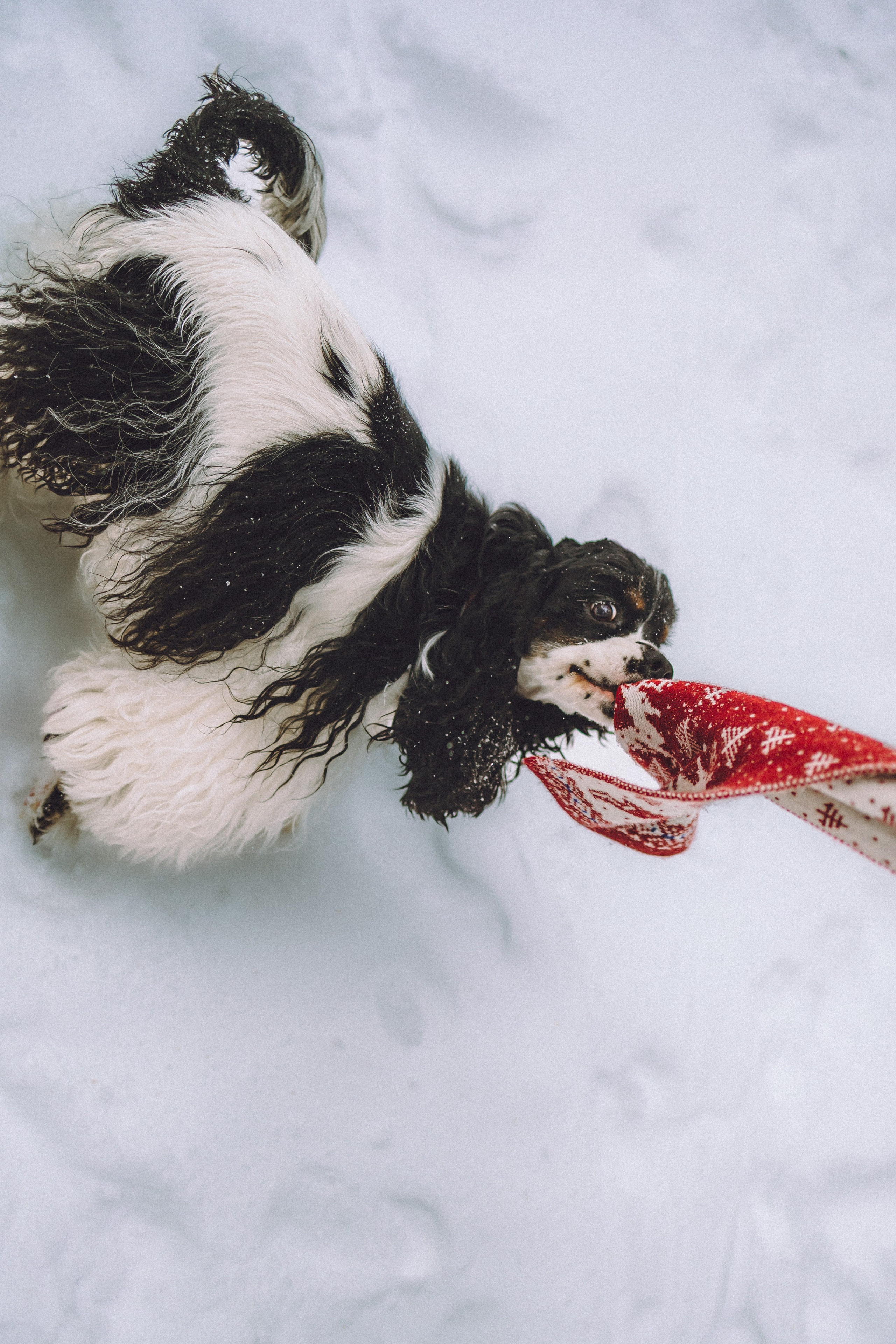Ольга и Патрик
