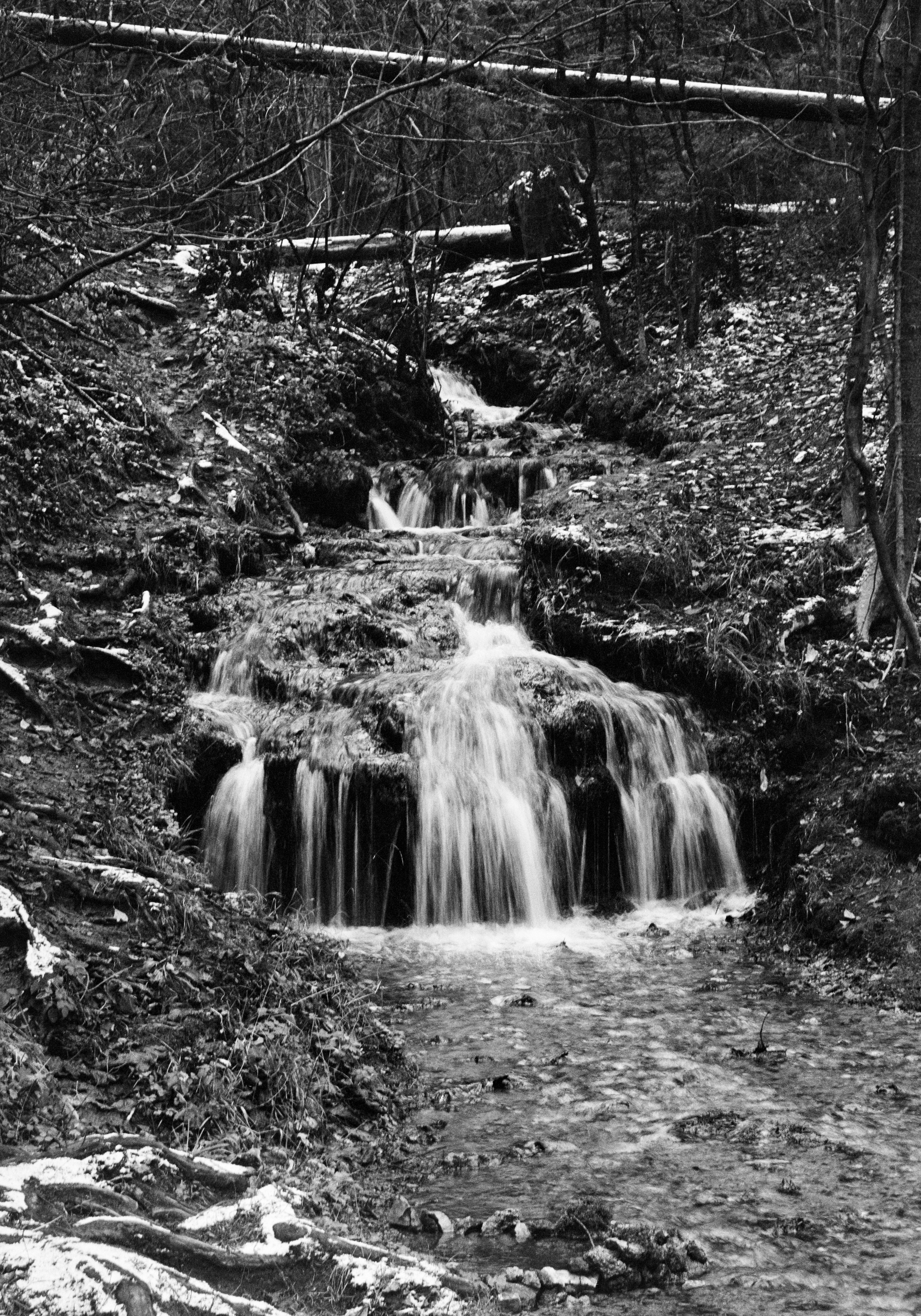 Prints. Maria Abdullaeva