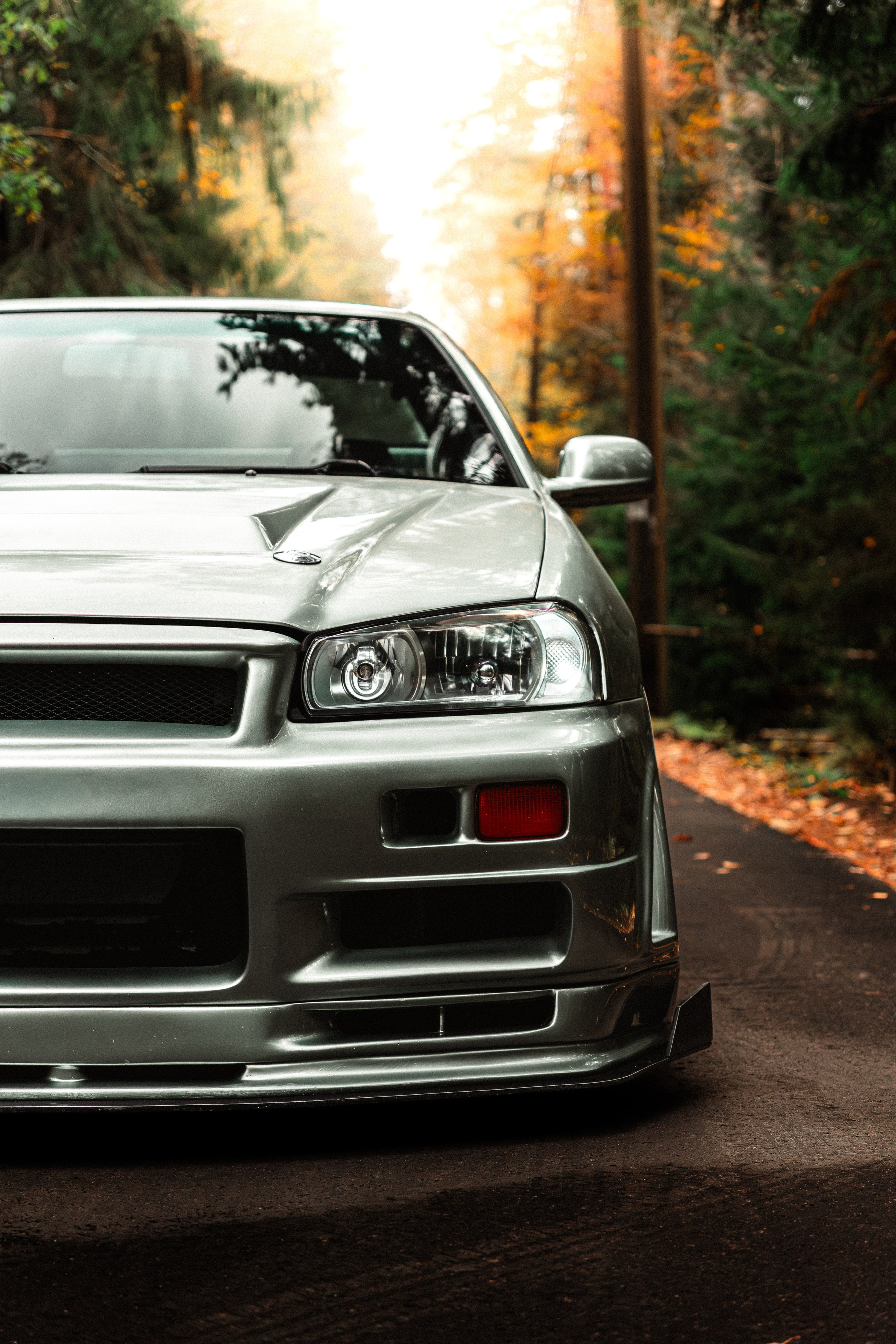 Nissan skyline R34. Valya Fleks