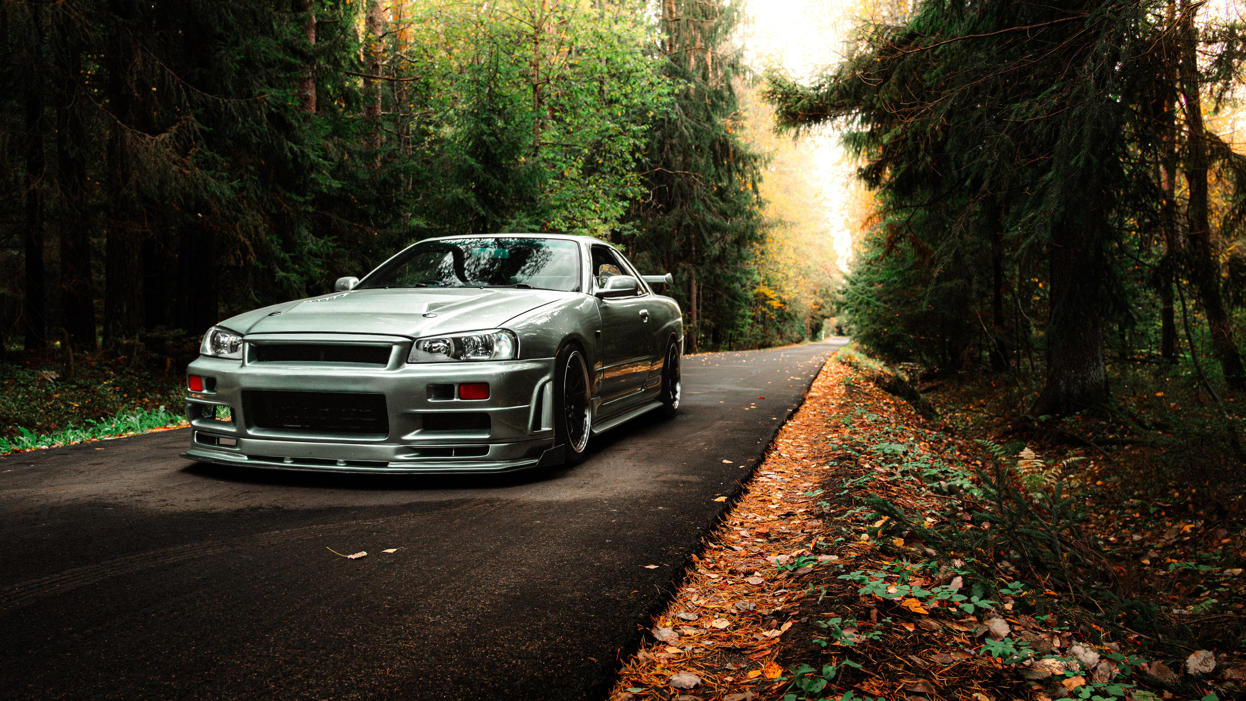 Nissan skyline R34. Valya Fleks