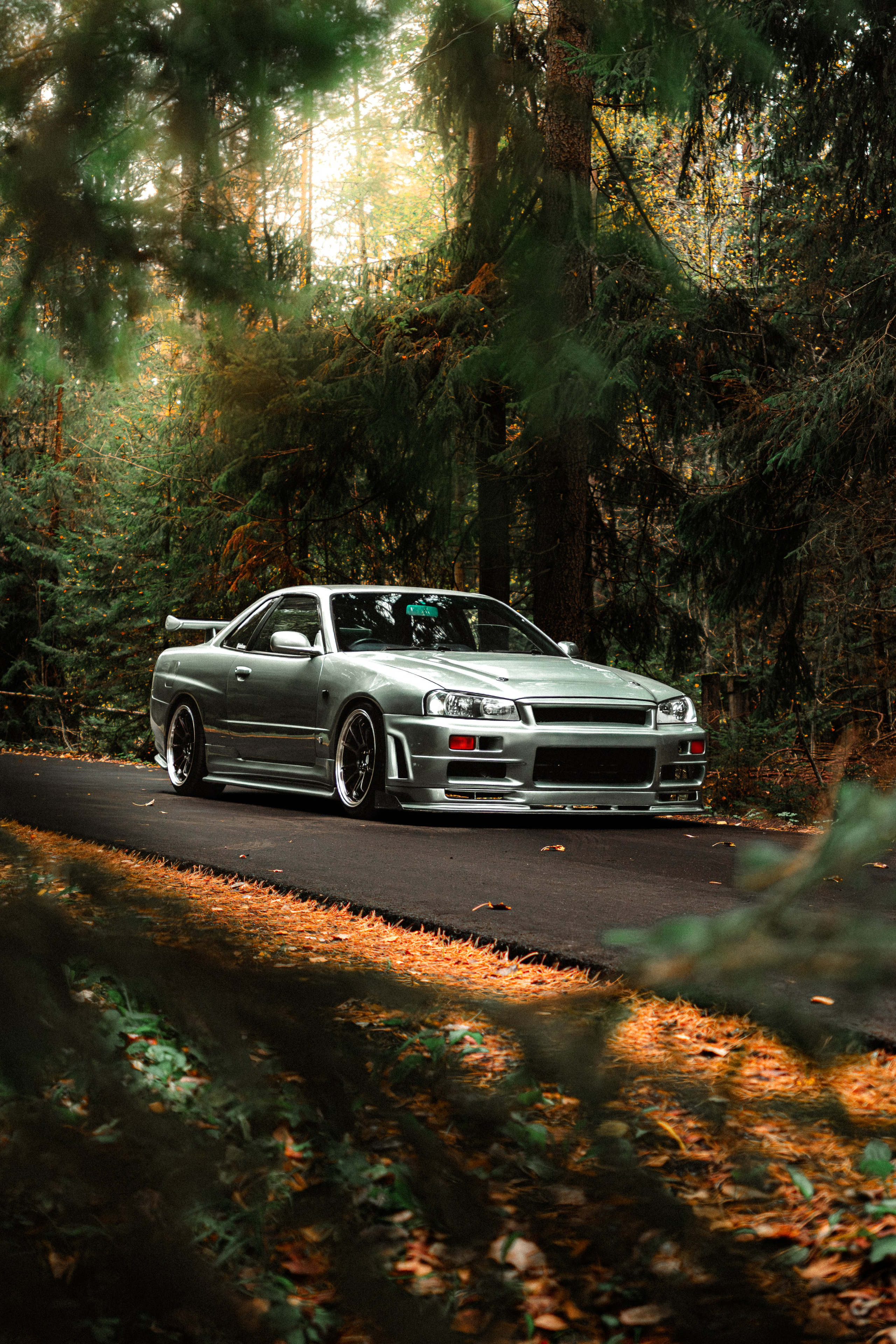 Nissan skyline R34. Valya Fleks