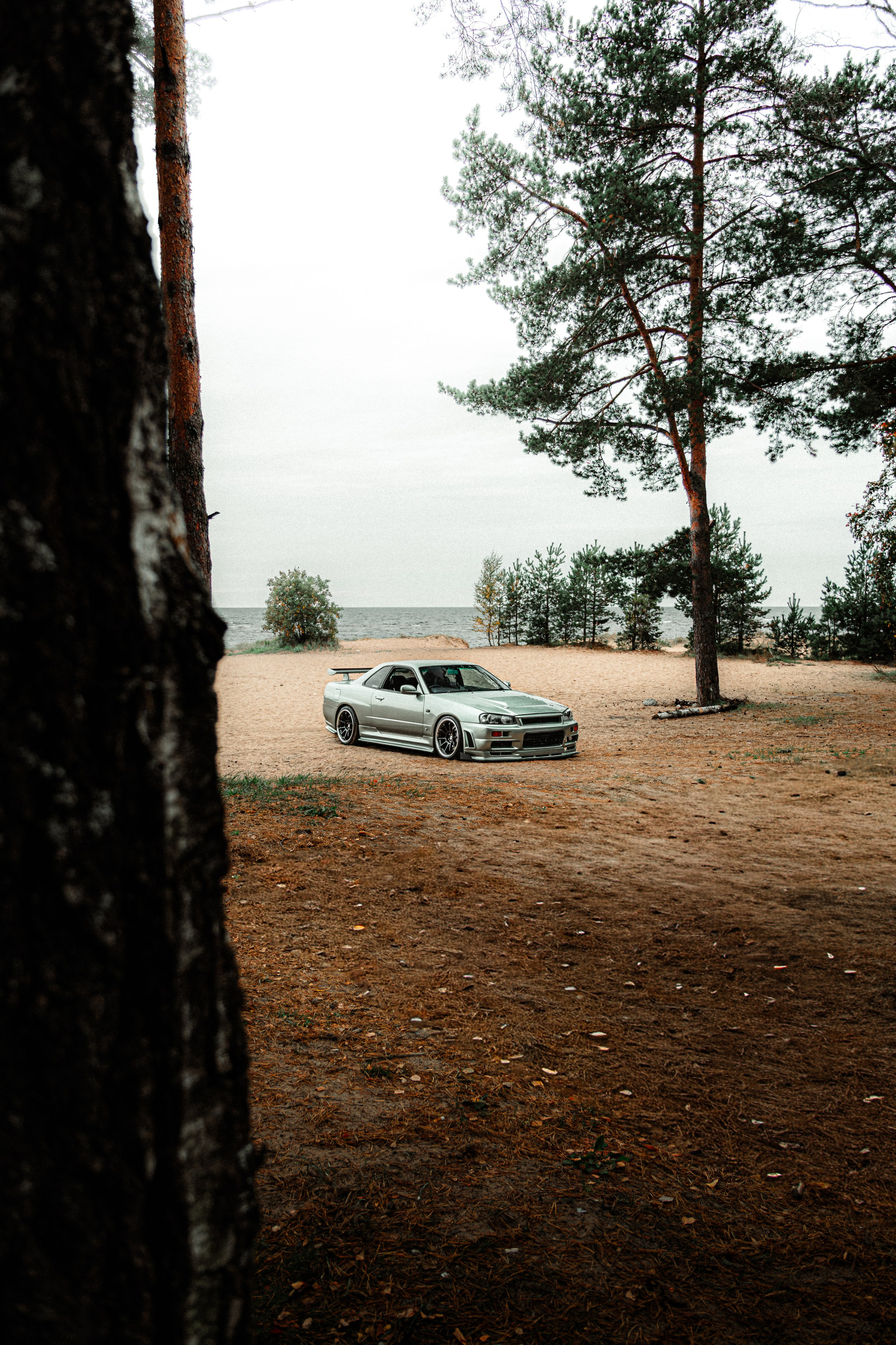 Nissan skyline R34. Valya Fleks