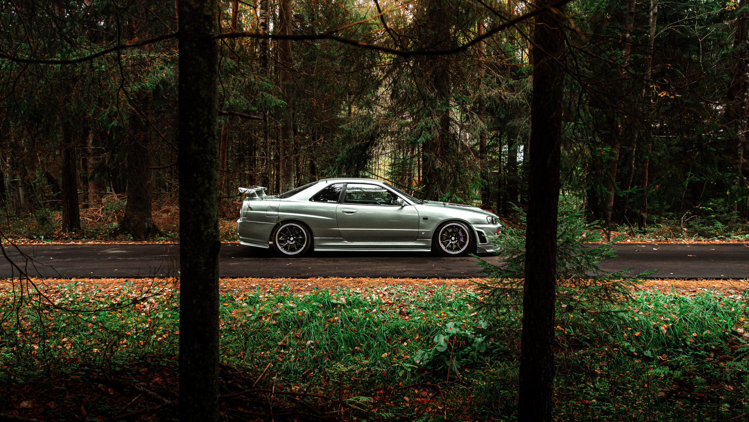Nissan skyline R34. Valya Fleks