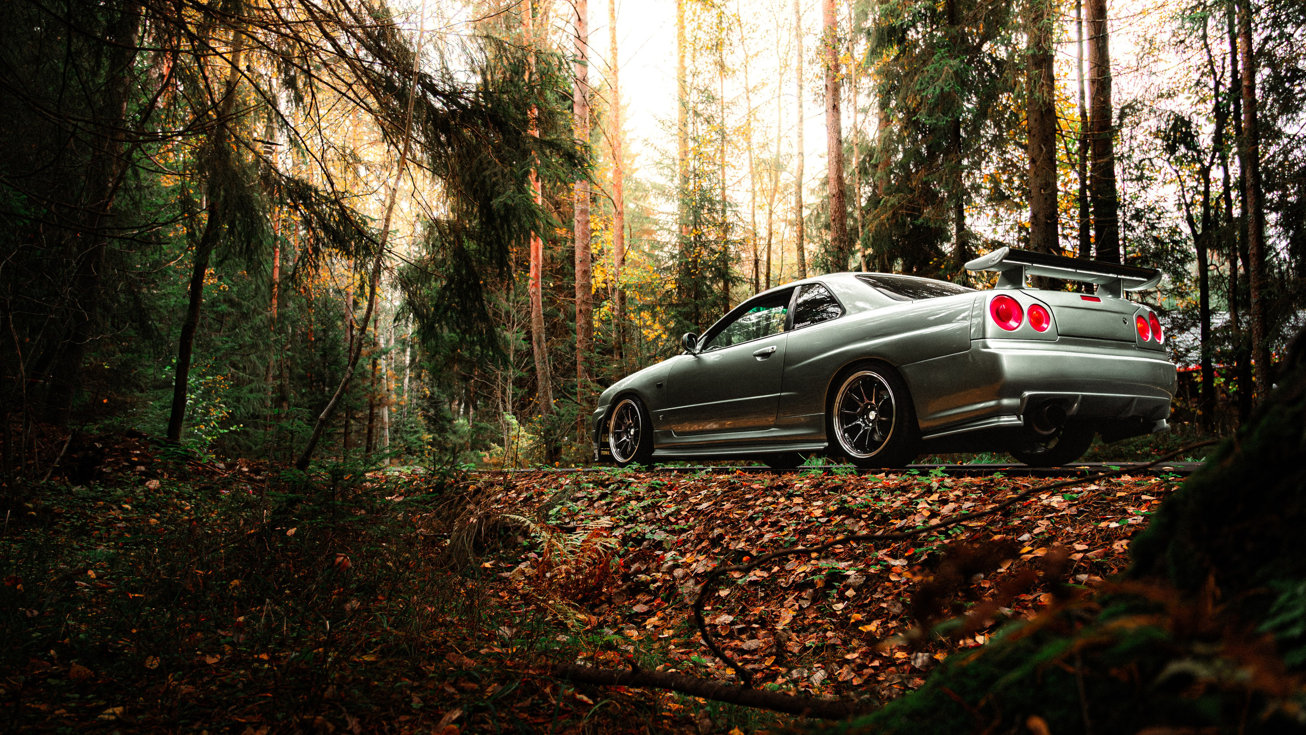 Nissan skyline R34. Valya Fleks