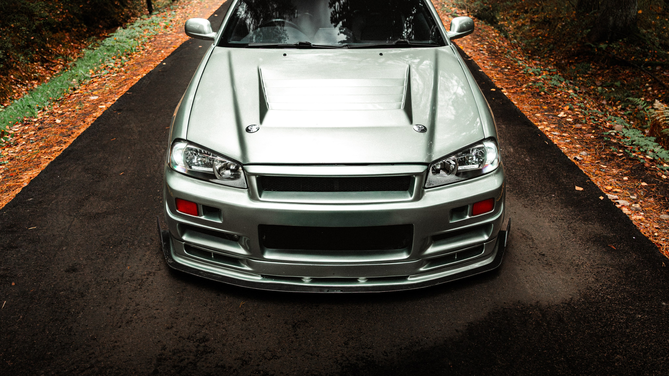 Nissan skyline R34. Valya Fleks