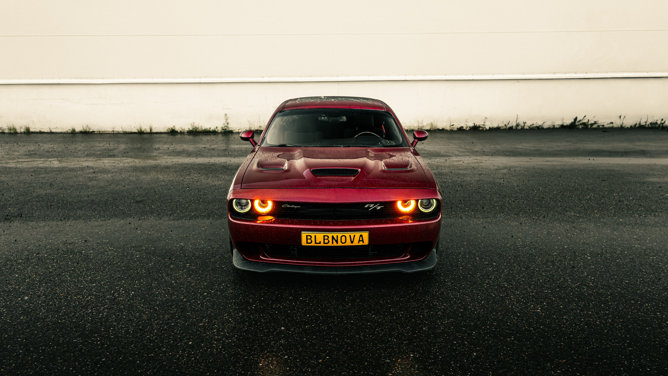 Dodge Challenger 5.7. Valya Fleks