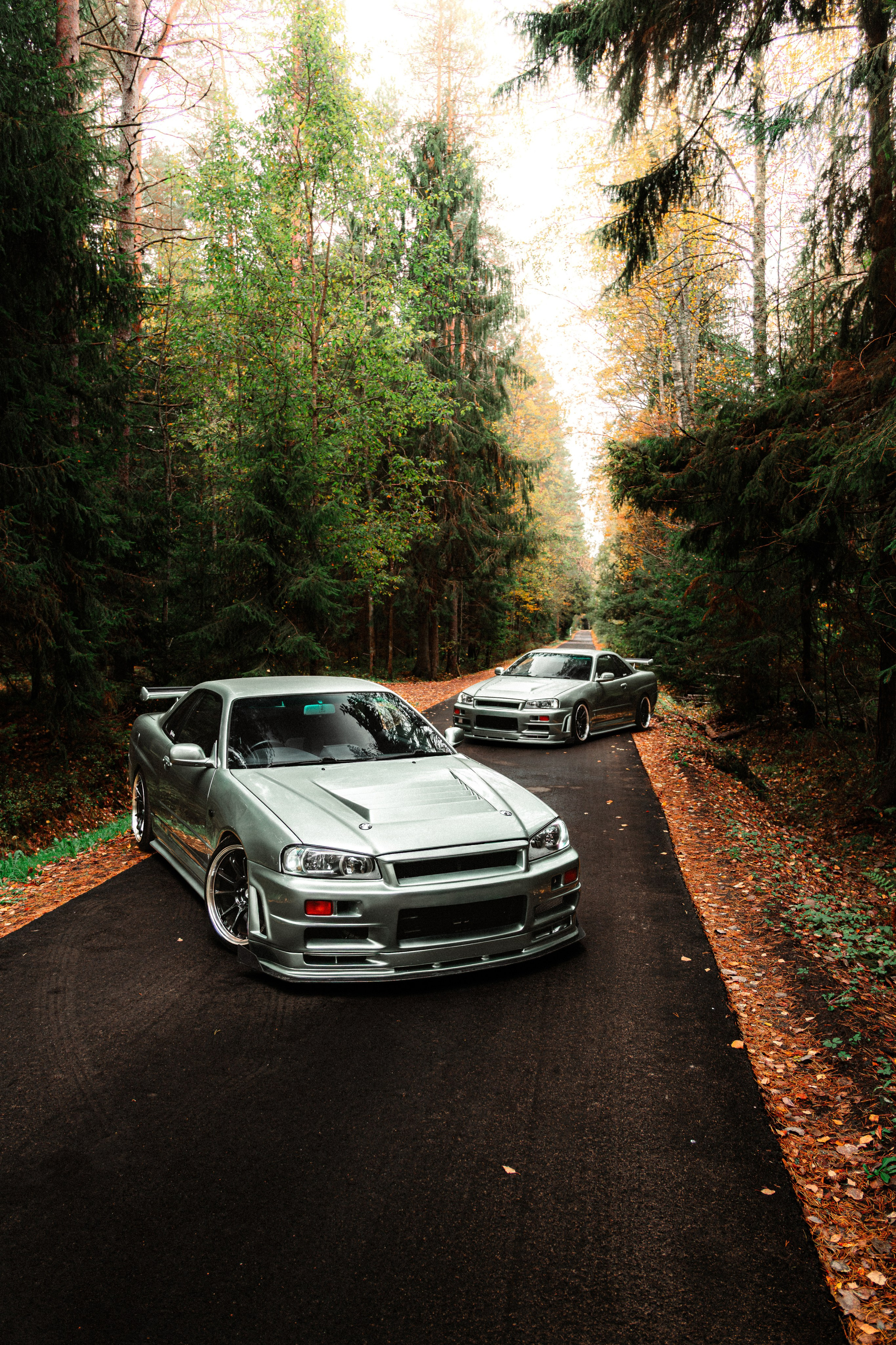 Nissan skyline R34. Valya Fleks