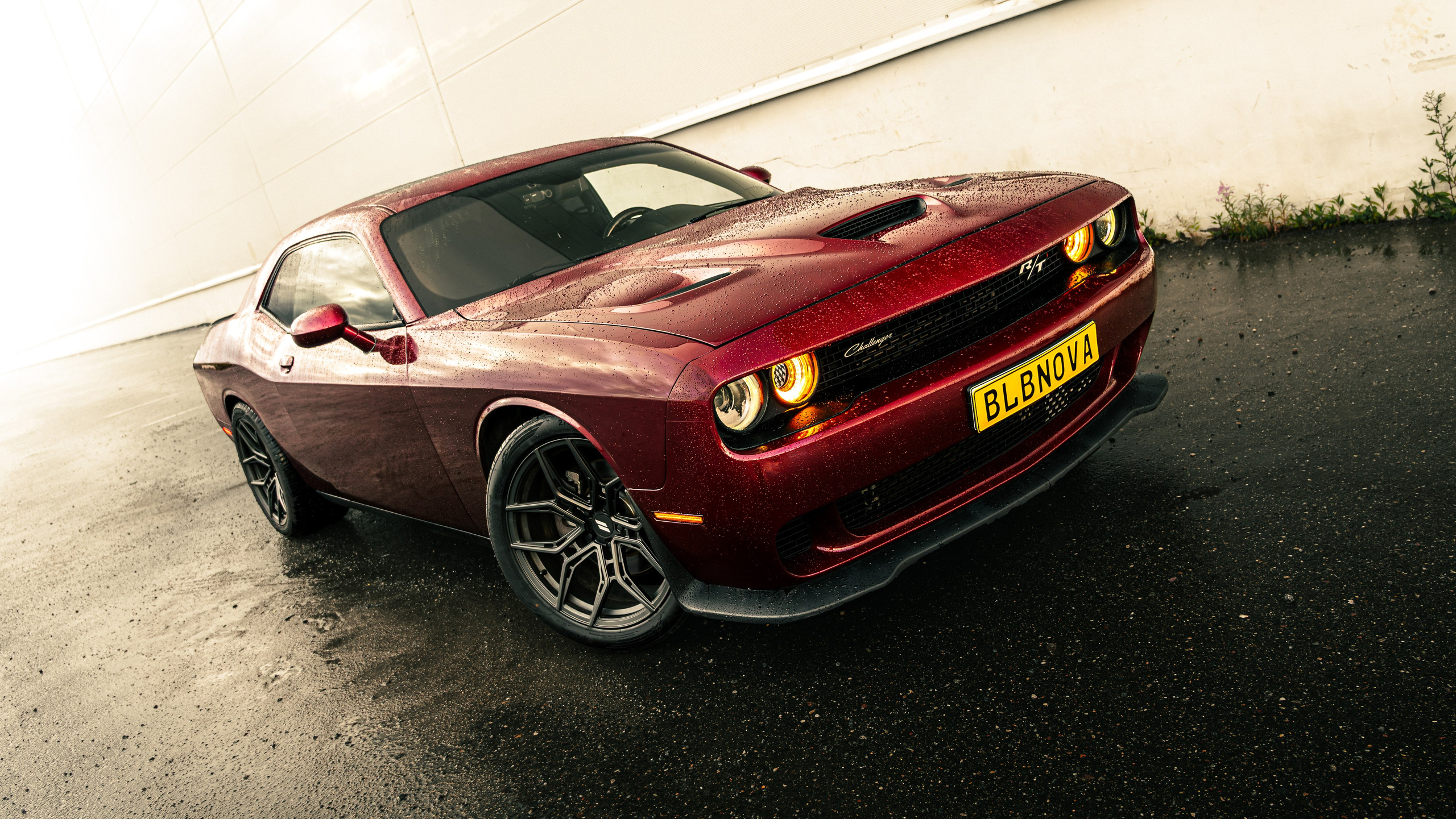 Dodge Challenger 5.7. Valya Fleks