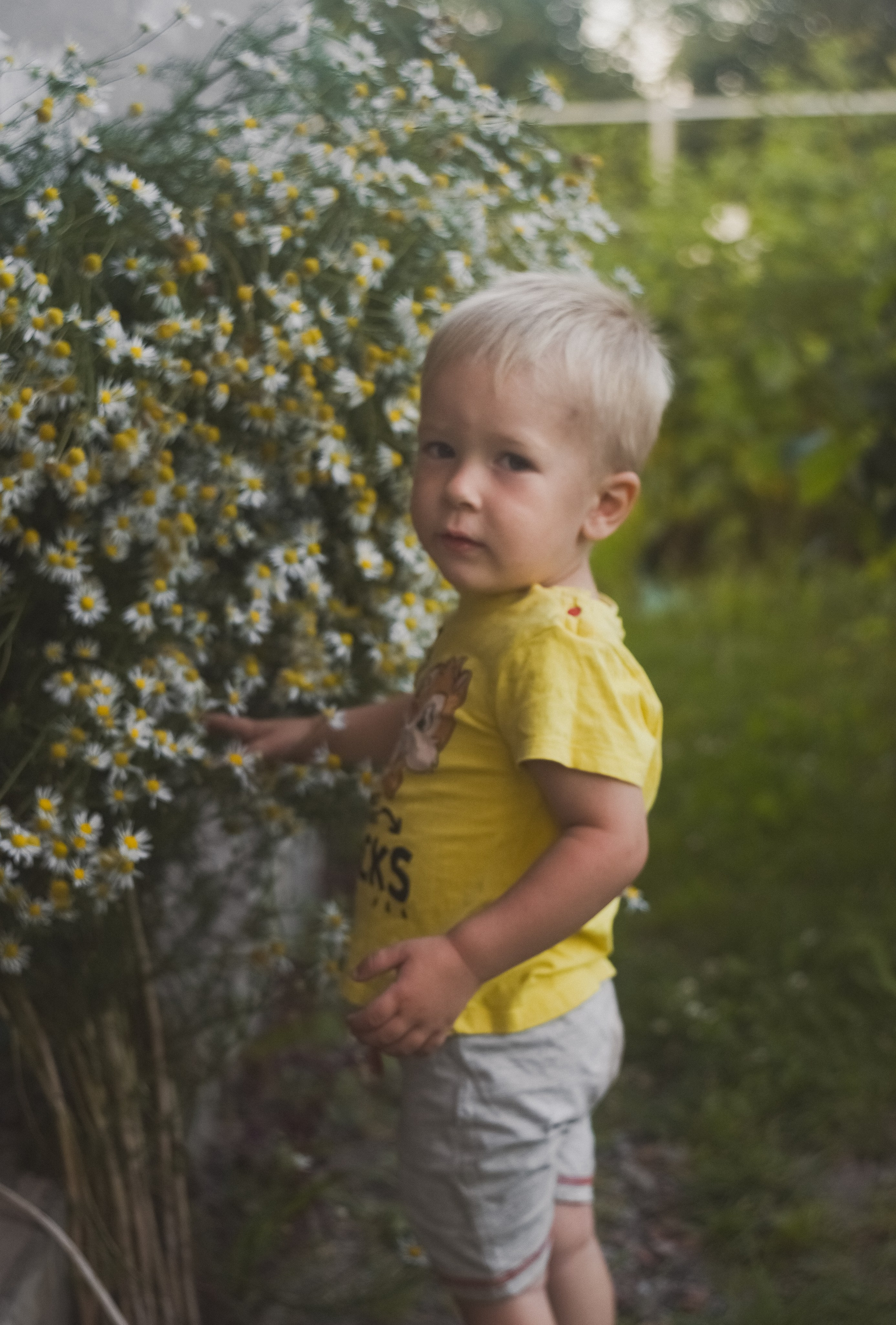 Когда дети были маленькими…. Детский и семейный фотограф в Новосибирске Саша Дорошенко