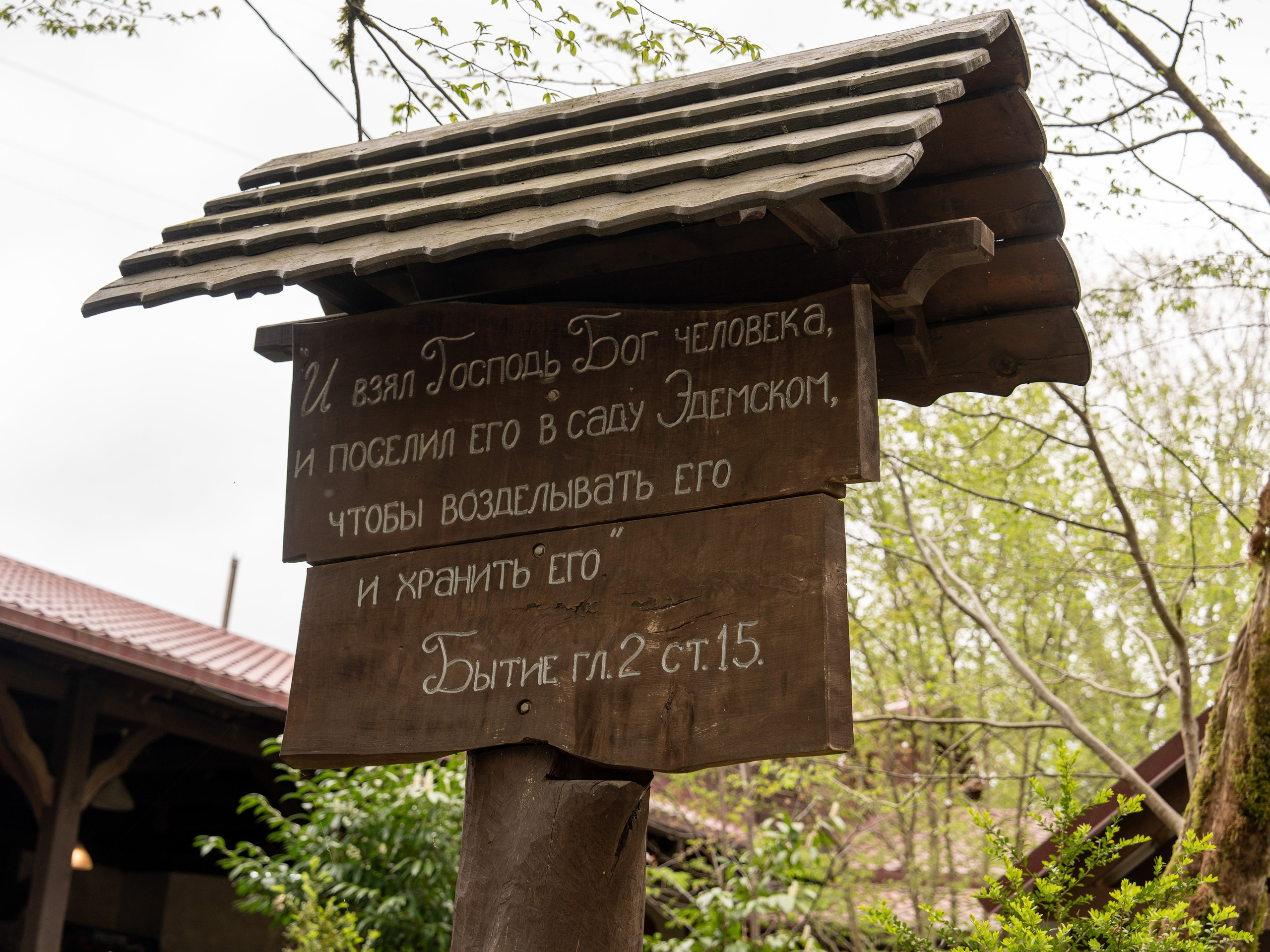 MICE мероприятие — джиппинг на каньон Псахо. Репортажный фотограф в Красной Поляне и Сочи Павлюченко Екатерина