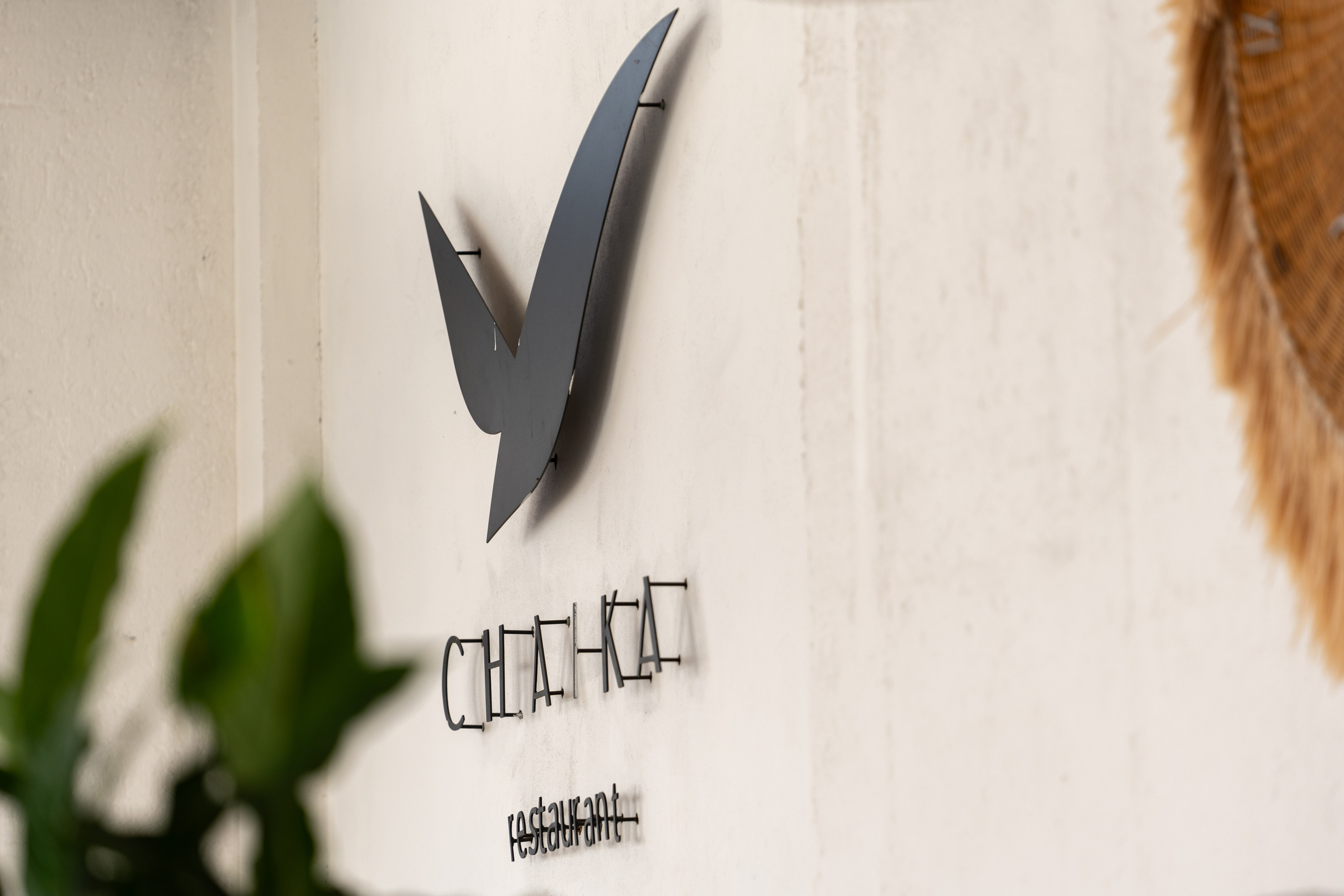 Mice мероприятие — тур по Абхазии. Репортажный фотограф в Красной Поляне и Сочи Павлюченко Екатерина