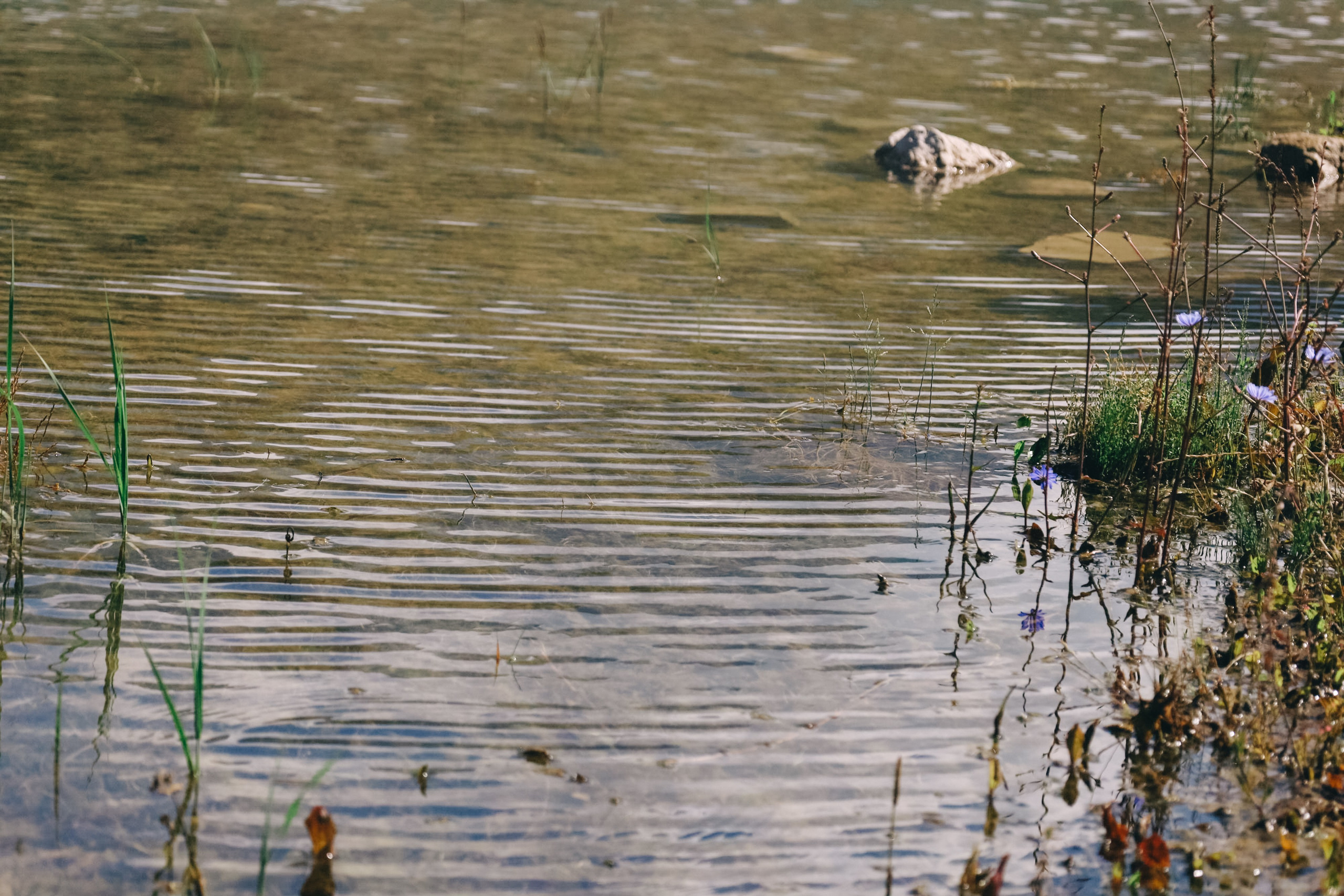 Приэльбрусье 22 — 23 июля 2023. Фотограф katya_vkadre Таганрог