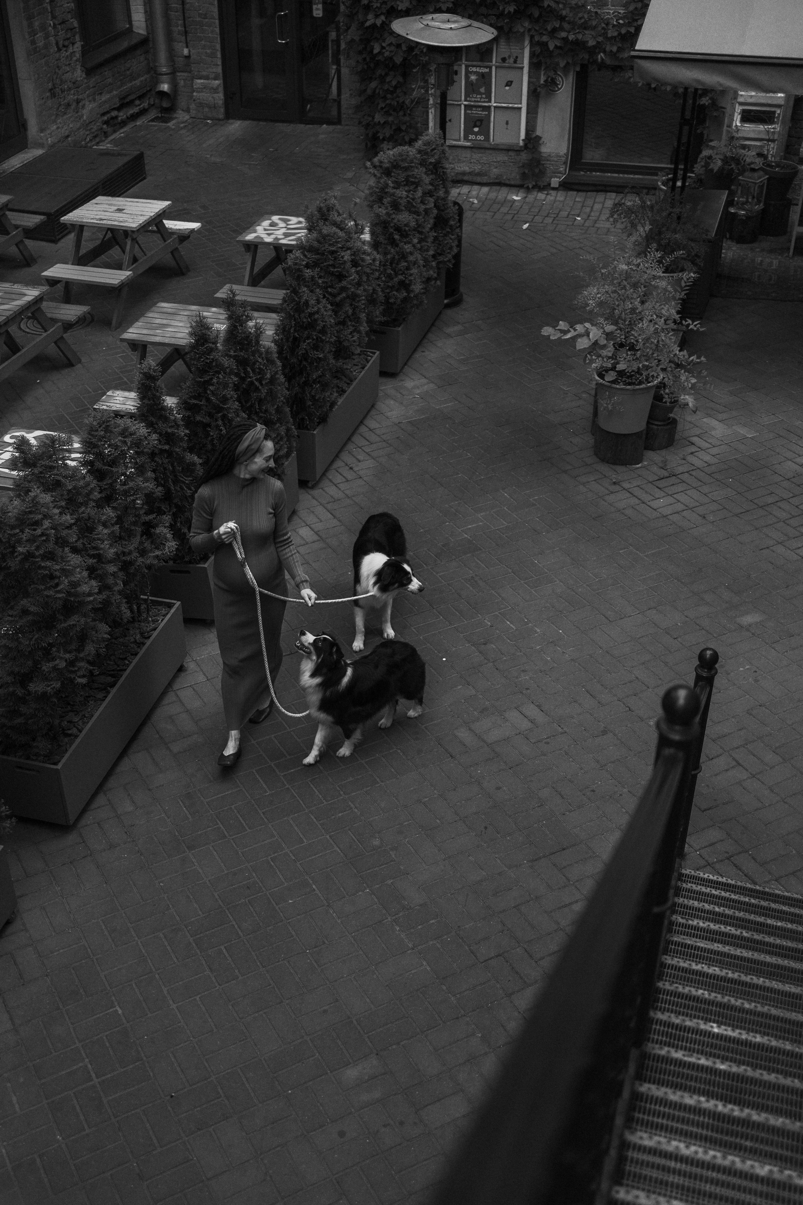 Катя и ее девочки. Фотограф — Анималист | Санкт-Петербург