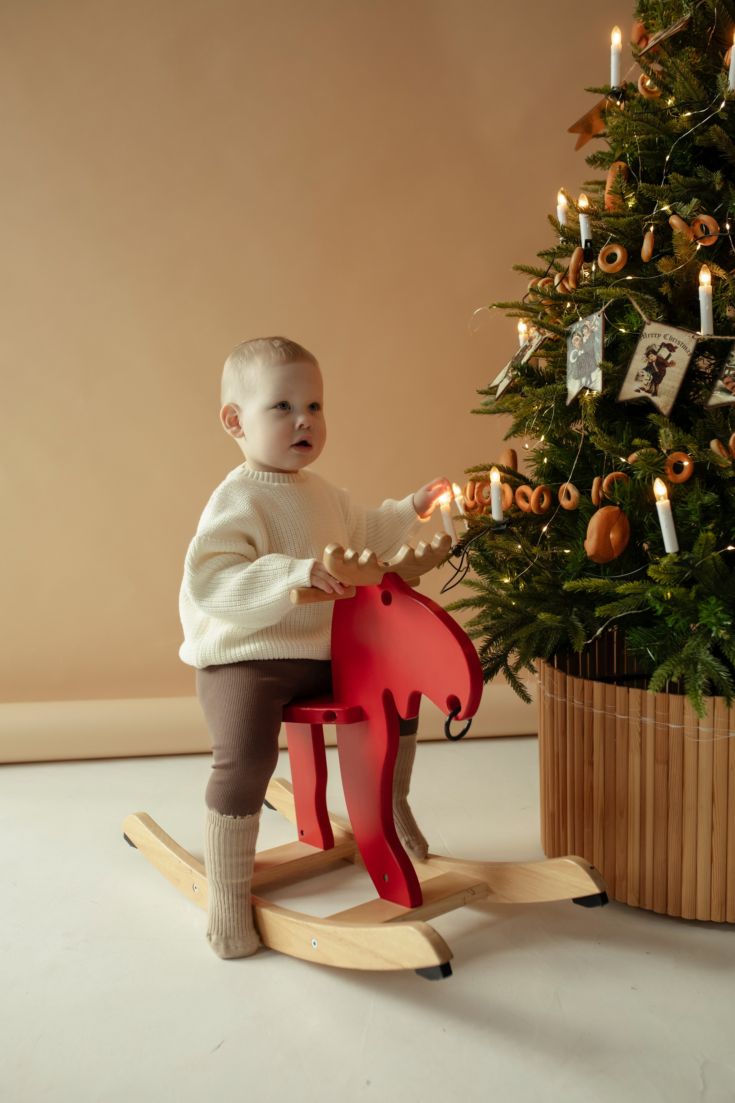 Новогодняя. Дьячкова Мария фотограф