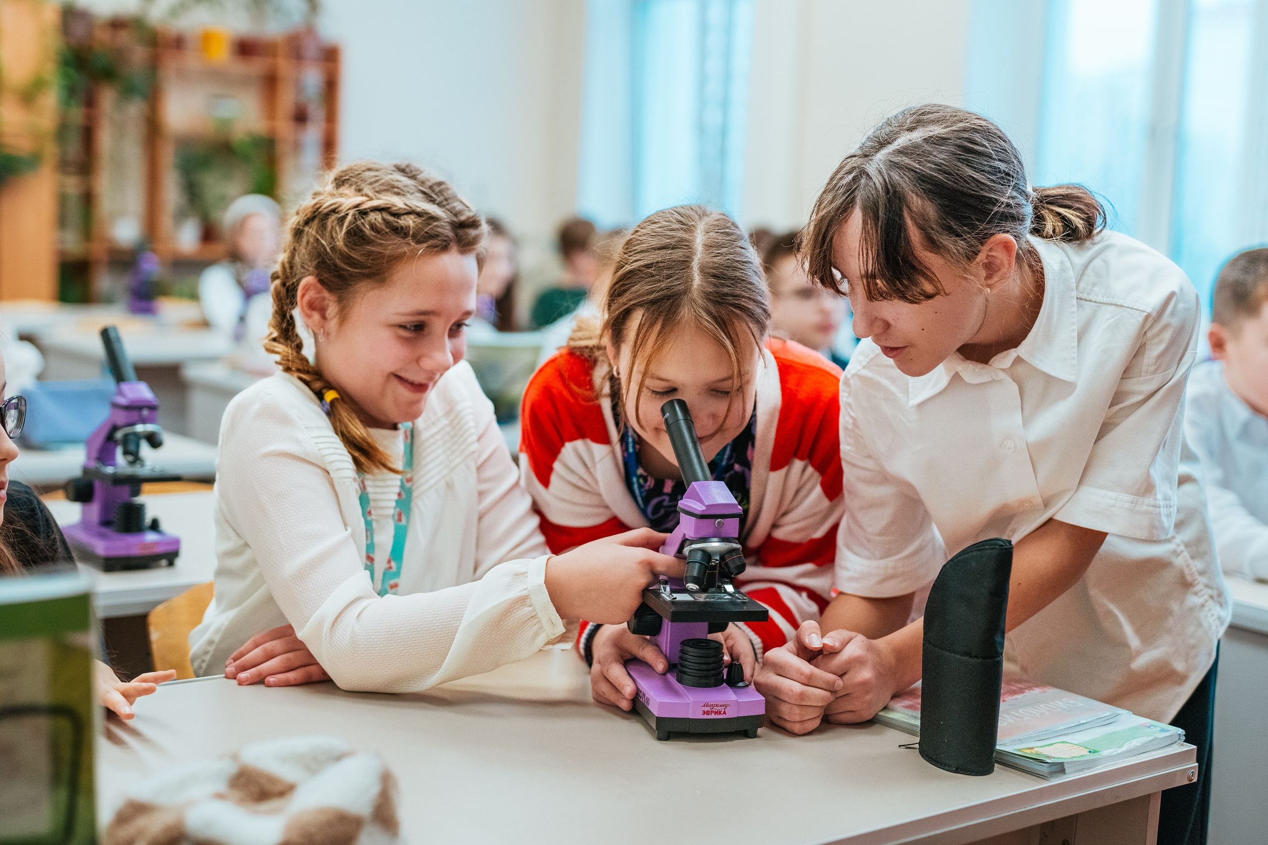 6 класс. Школьные альбомы и альбомы для детского сада. Юлия Осипова. Москва