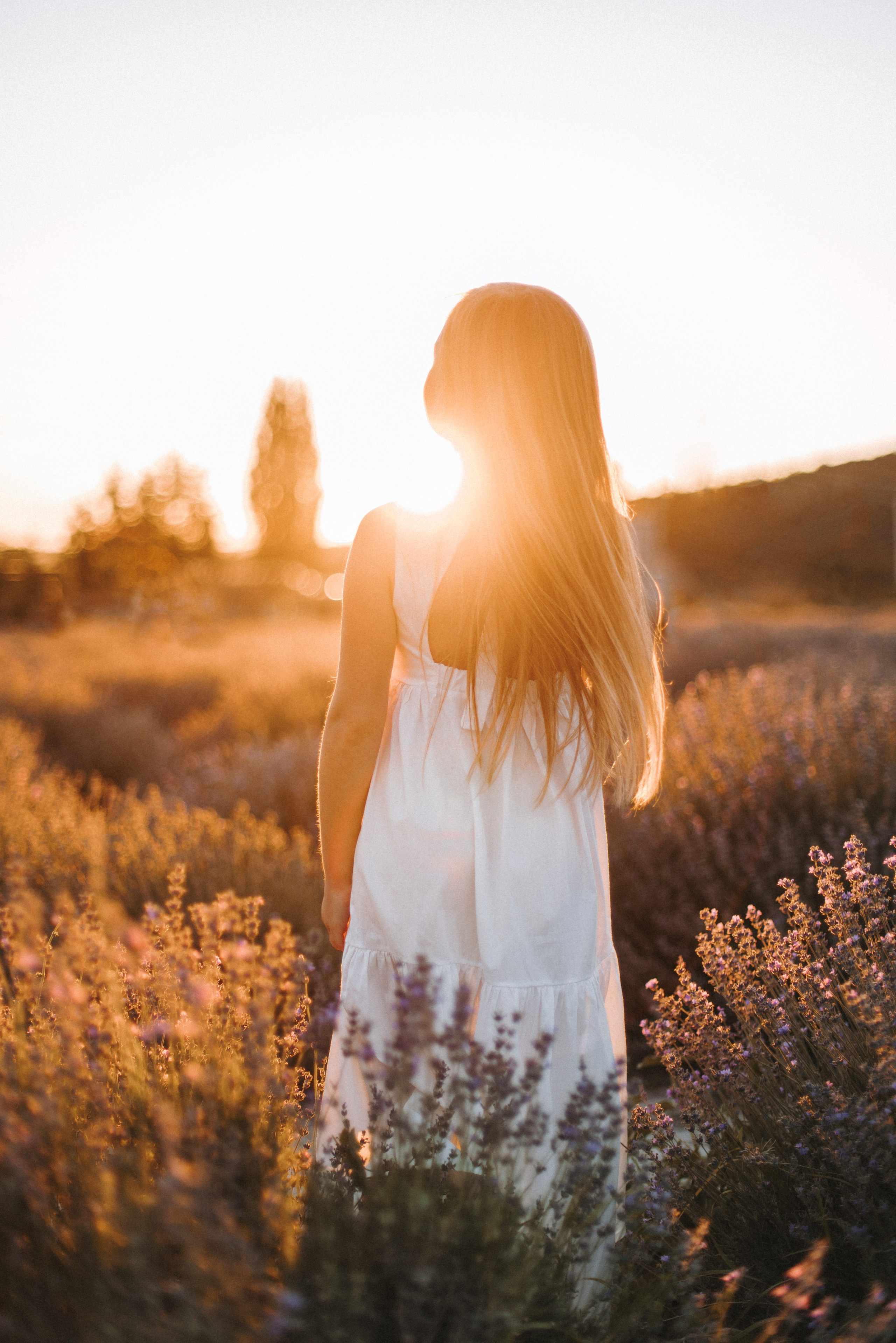 Maison Des Plantes. Фотограф на Юге России