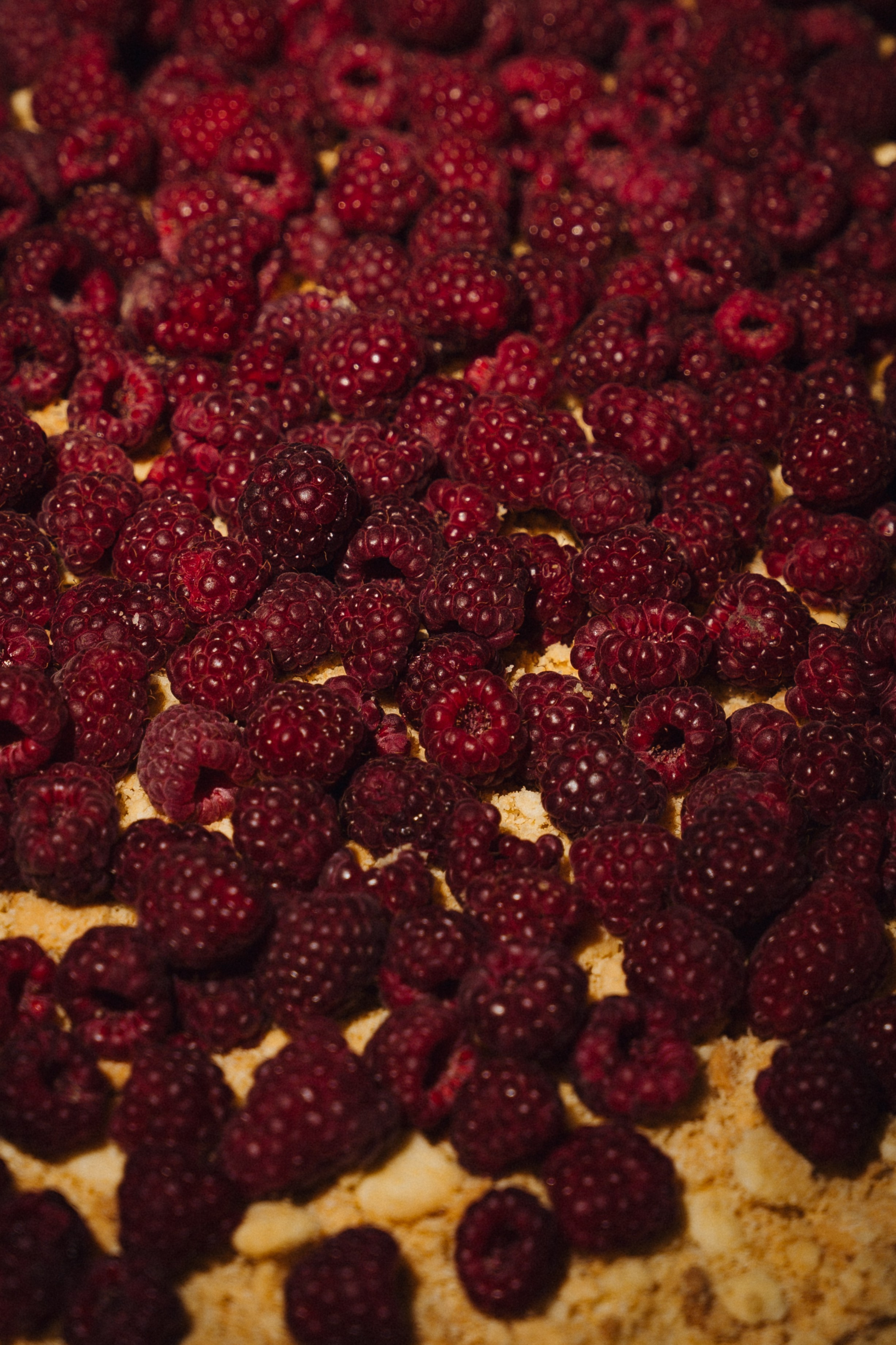 Солнцестояние. Свадебный фотограф Наташа Алешина