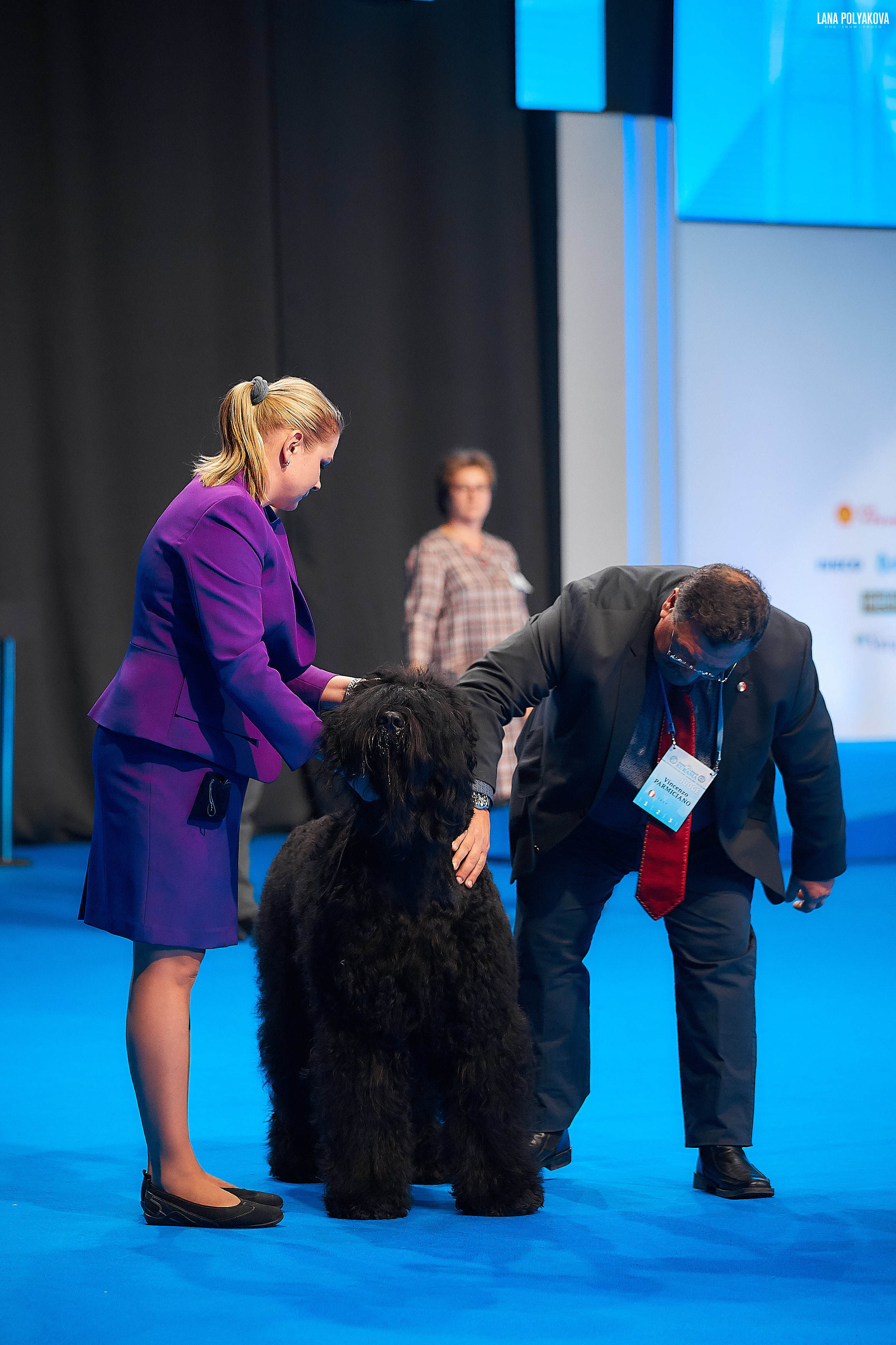 Съемки на выставке. ЕВРАЗИЯ 2019, 2 x CACIB
МВЦ КРОКУС ЭКСПО