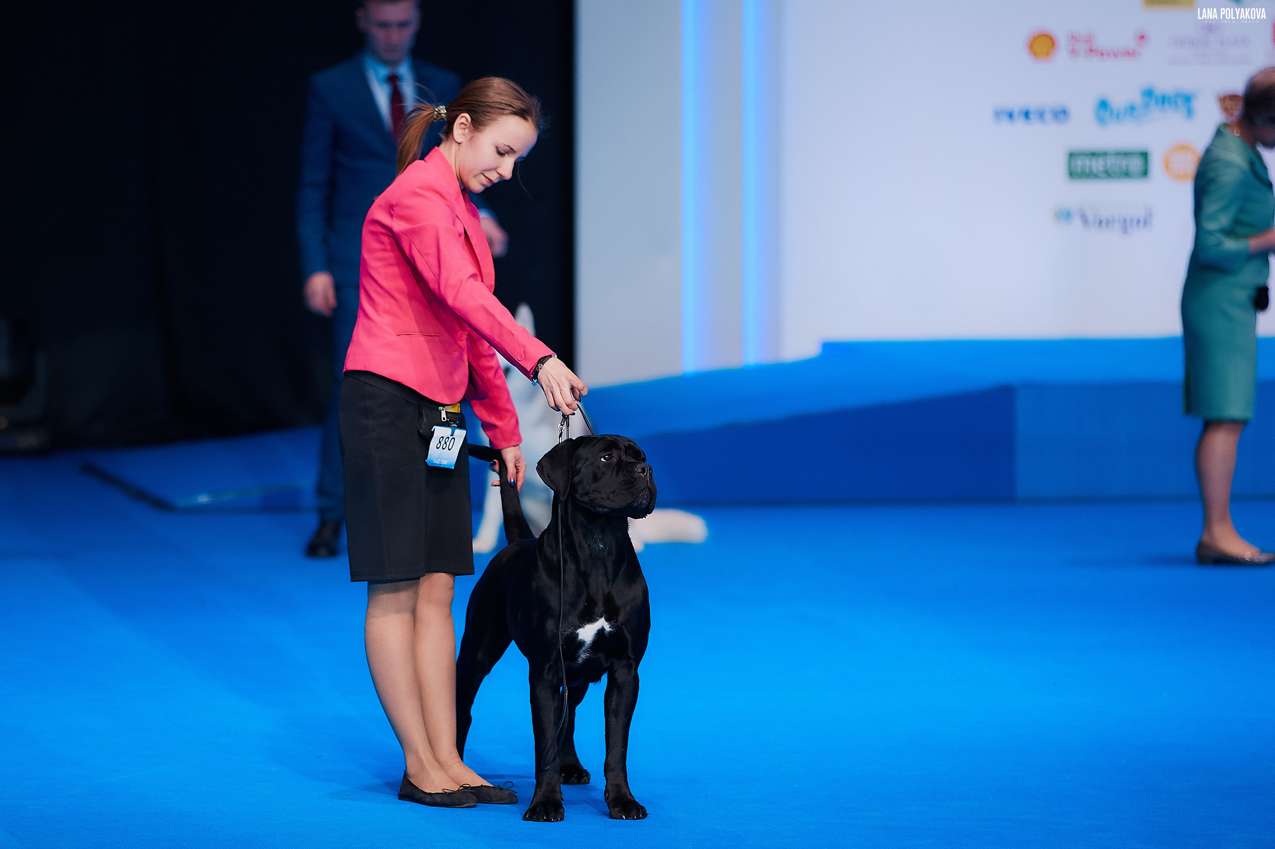 Съемки на выставке. ЕВРАЗИЯ 2019, 2 x CACIB
МВЦ КРОКУС ЭКСПО