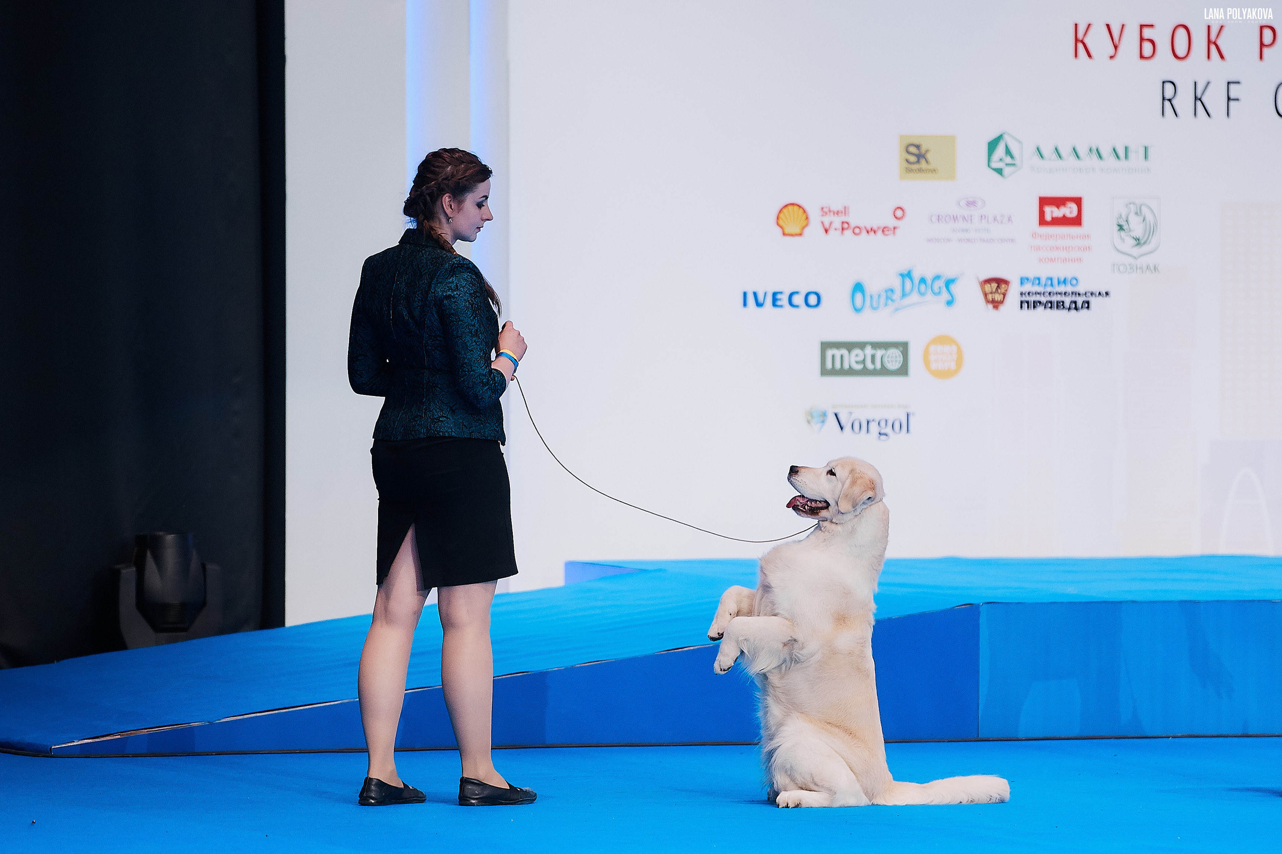 Съемки на выставке. ЕВРАЗИЯ 2019, 2 x CACIB
МВЦ КРОКУС ЭКСПО