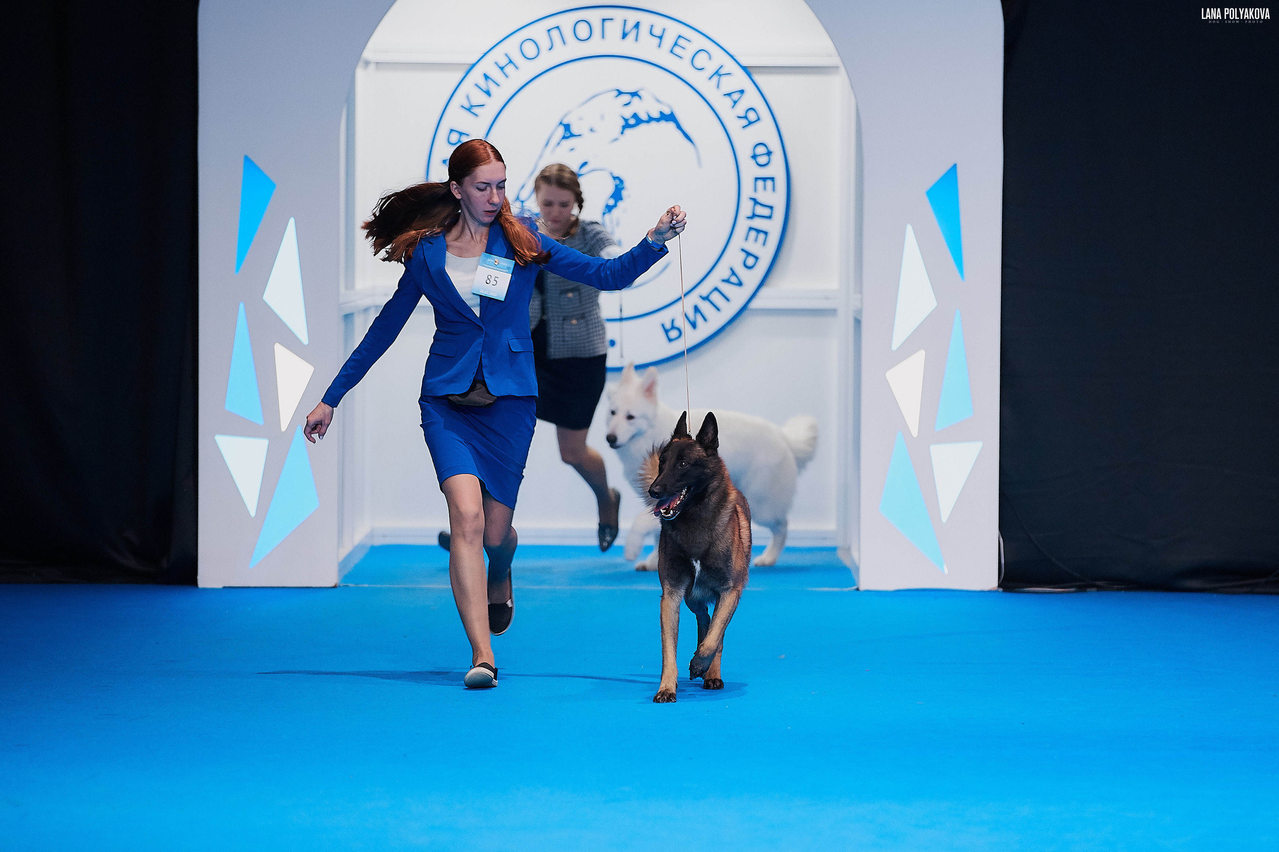 Съемки на выставке. ЕВРАЗИЯ 2019, 2 x CACIB
МВЦ КРОКУС ЭКСПО