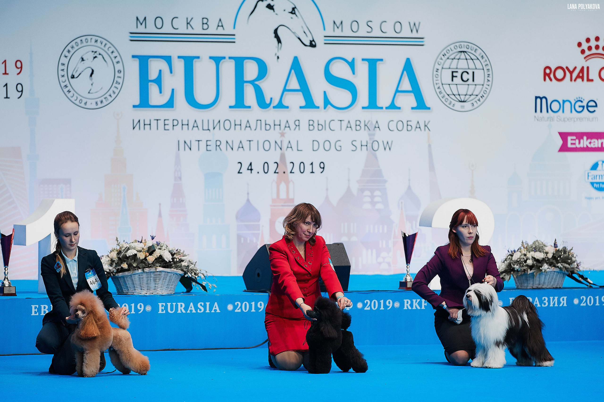 Съемки на выставке. ЕВРАЗИЯ 2019, 2 x CACIB
МВЦ КРОКУС ЭКСПО