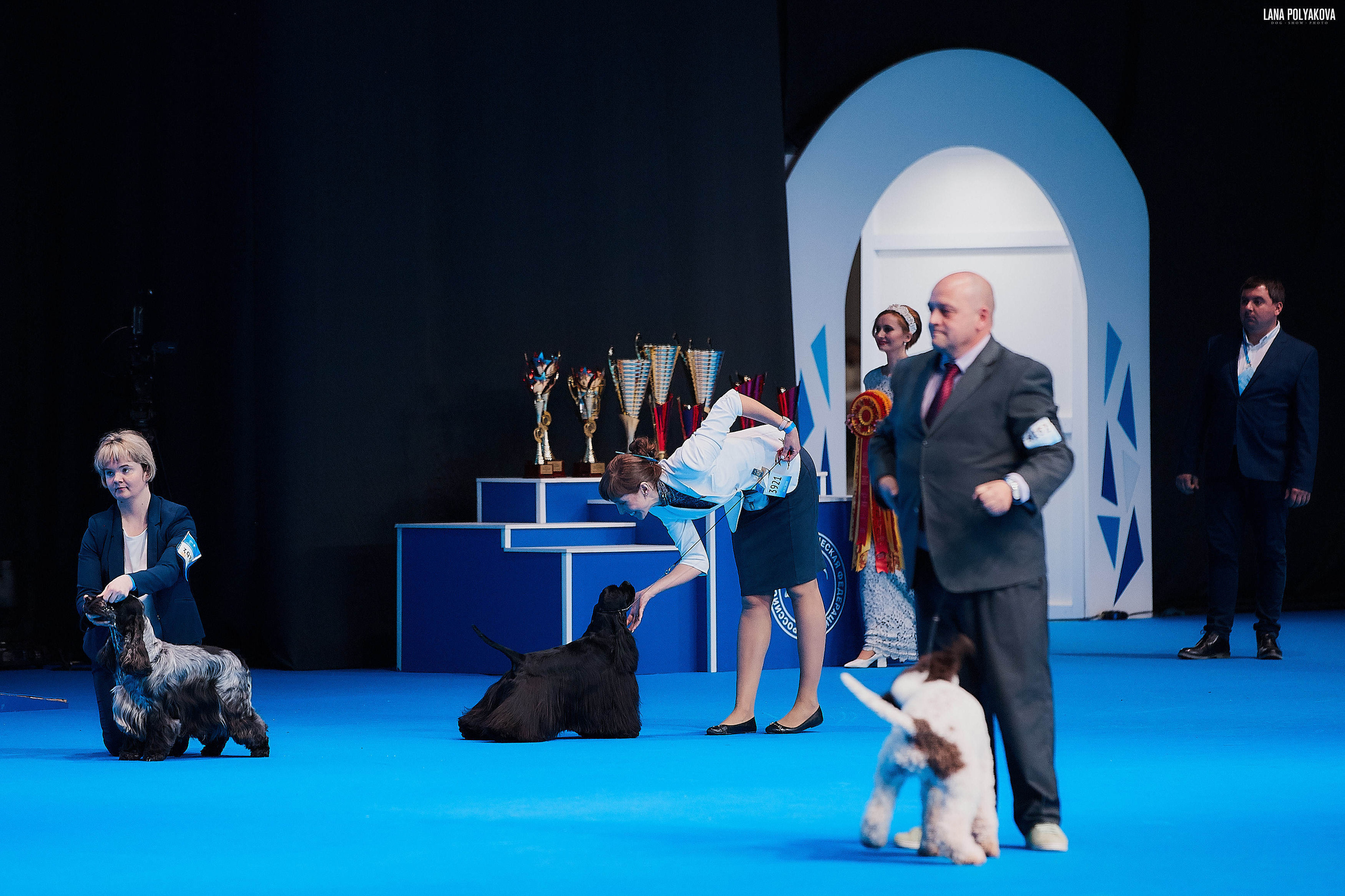 Съемки на выставке. ЕВРАЗИЯ 2019, 2 x CACIB
МВЦ КРОКУС ЭКСПО