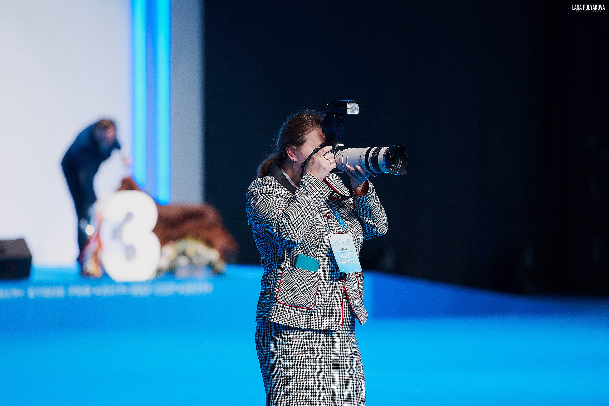 Съемки на выставке. ЕВРАЗИЯ 2019, 2 x CACIB
МВЦ КРОКУС ЭКСПО