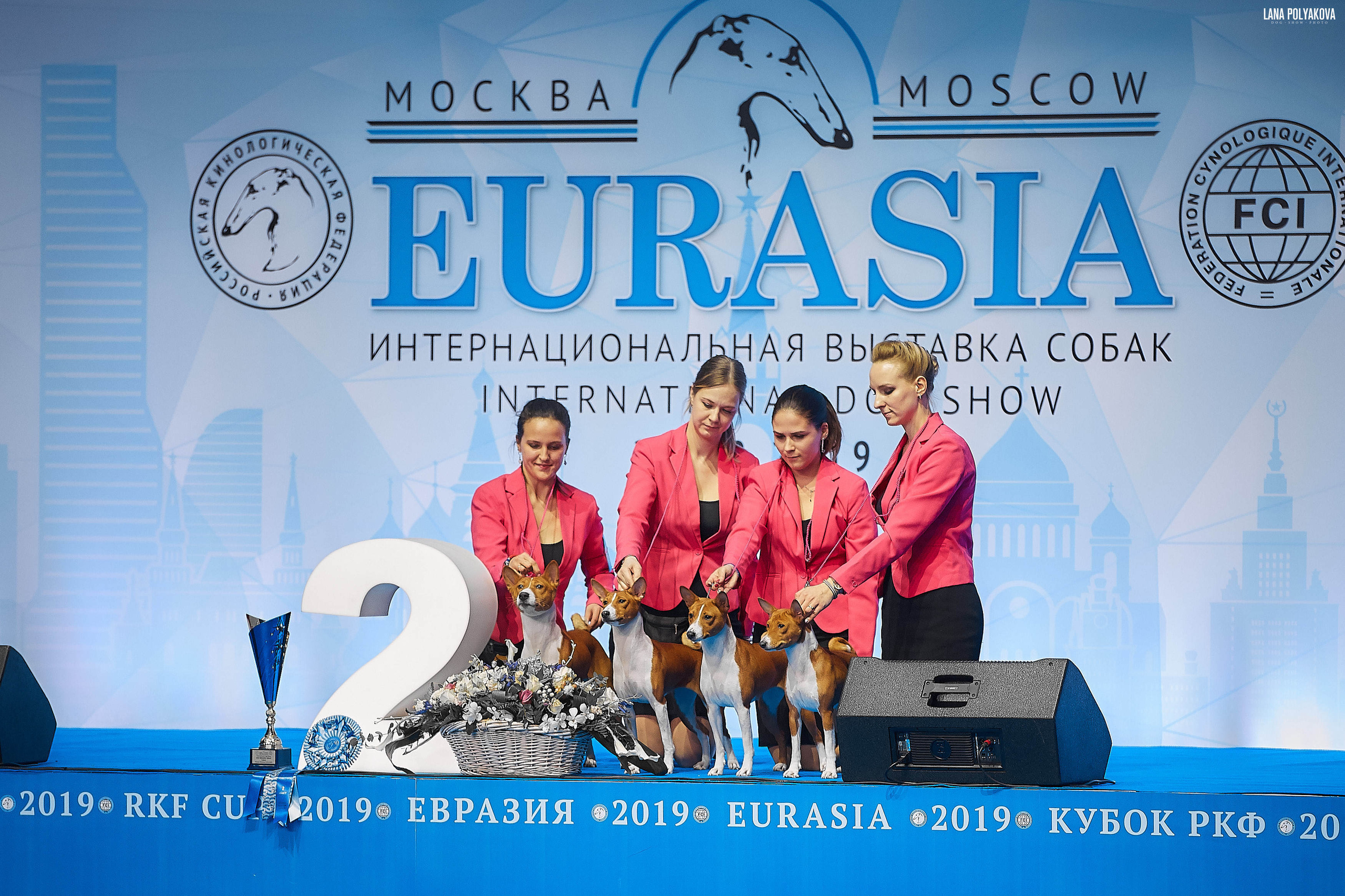 Съемки на выставке. ЕВРАЗИЯ 2019, 2 x CACIB
МВЦ КРОКУС ЭКСПО
ADEBANKE'S