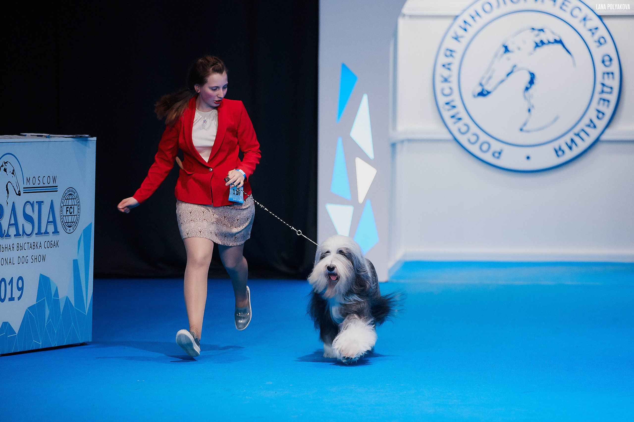 Съемки на выставке. ЕВРАЗИЯ 2019, 2 x CACIB
МВЦ КРОКУС ЭКСПО