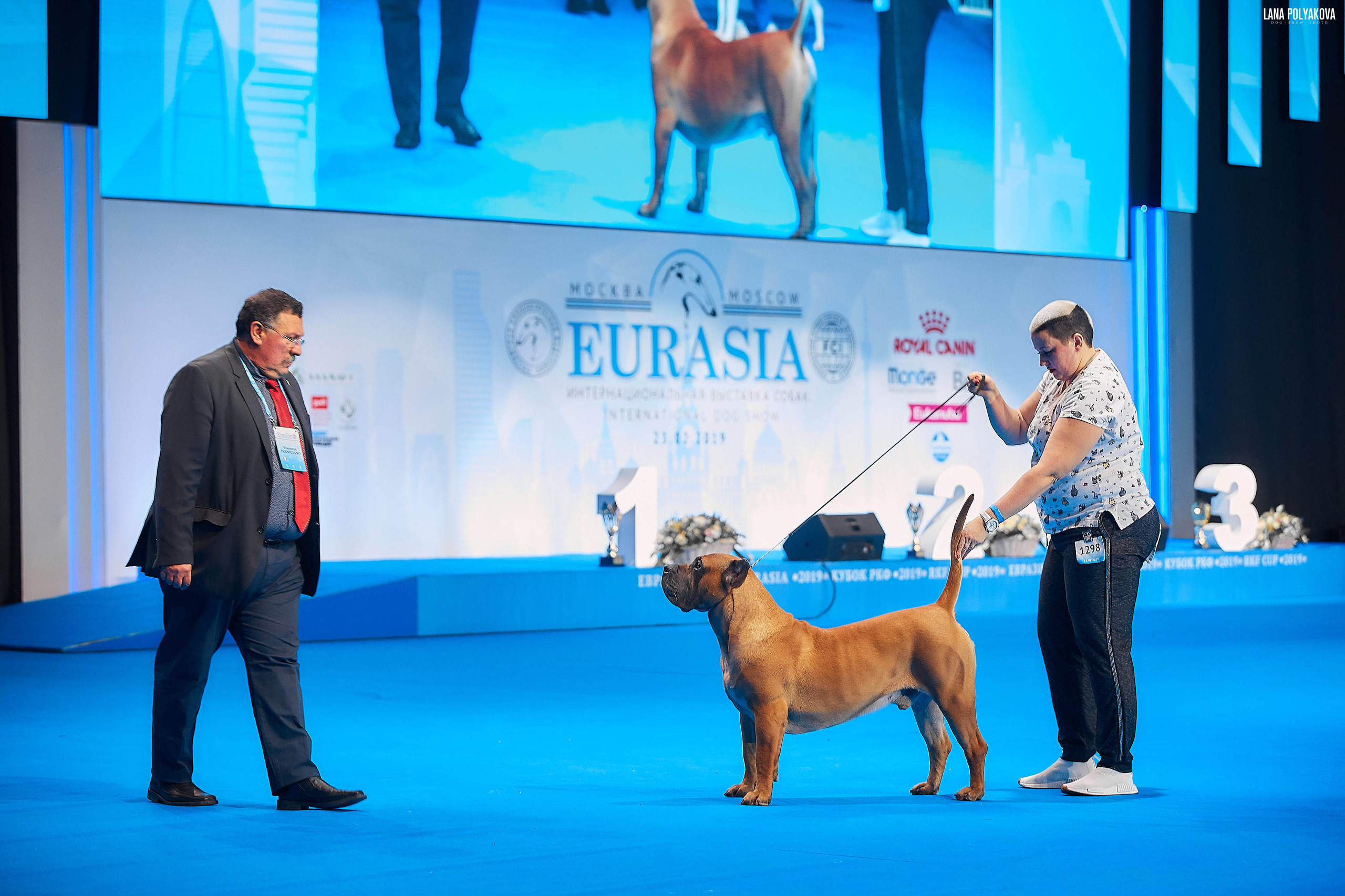Съемки на выставке. ЕВРАЗИЯ 2019, 2 x CACIB
МВЦ КРОКУС ЭКСПО
DUENOS DE LA VIDA DEMIAN
ПРЕСА КАНАРИО / PRESA CANARIO