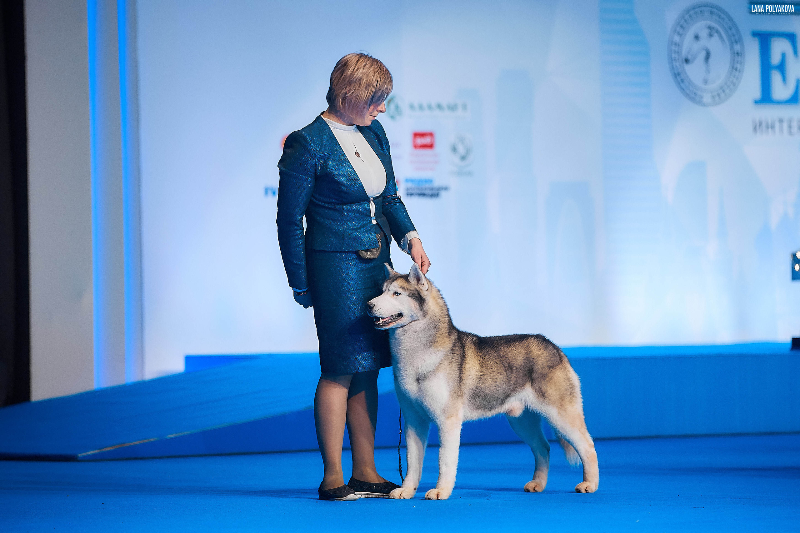 Съемки на выставке. ЕВРАЗИЯ 2019, 2 x CACIB
МВЦ КРОКУС ЭКСПО