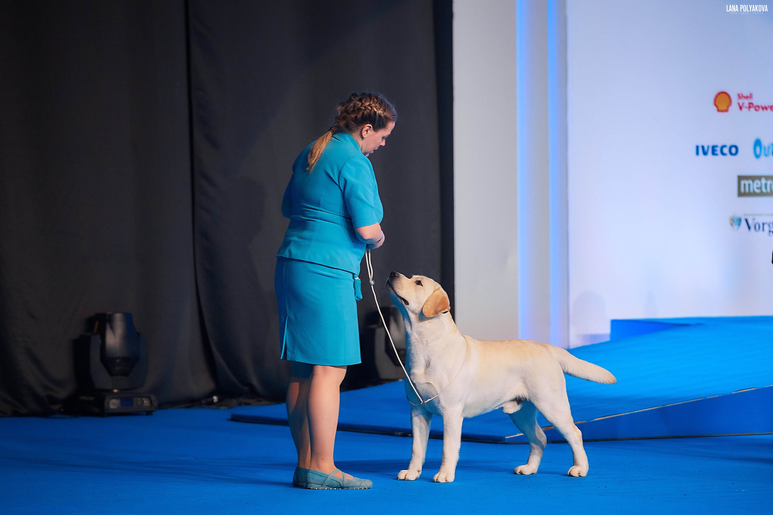 Съемки на выставке. ЕВРАЗИЯ 2019, 2 x CACIB
МВЦ КРОКУС ЭКСПО