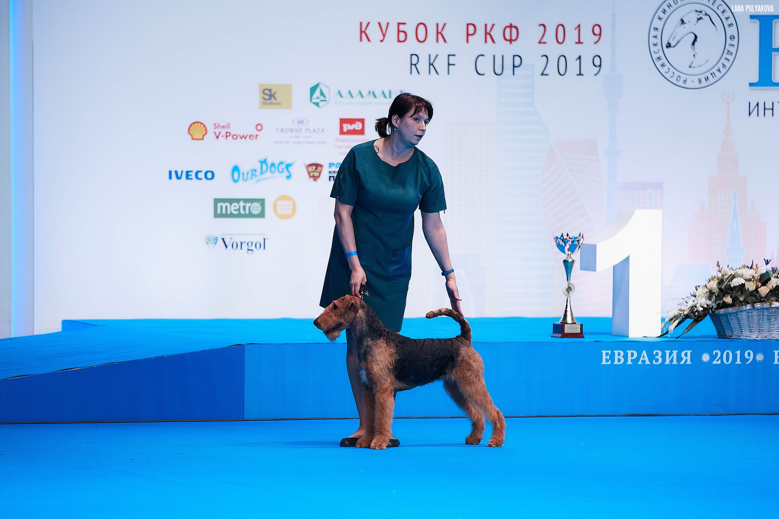 Съемки на выставке. ЕВРАЗИЯ 2019, 2 x CACIB
МВЦ КРОКУС ЭКСПО