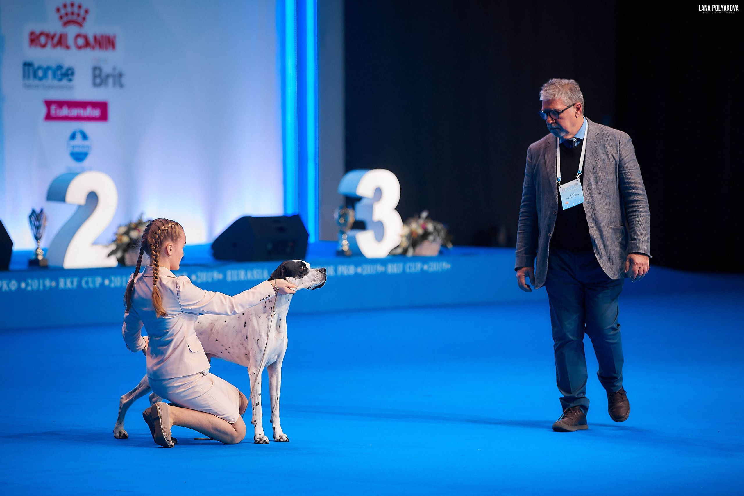 Съемки на выставке. ЕВРАЗИЯ 2019, 2 x CACIB
МВЦ КРОКУС ЭКСПО