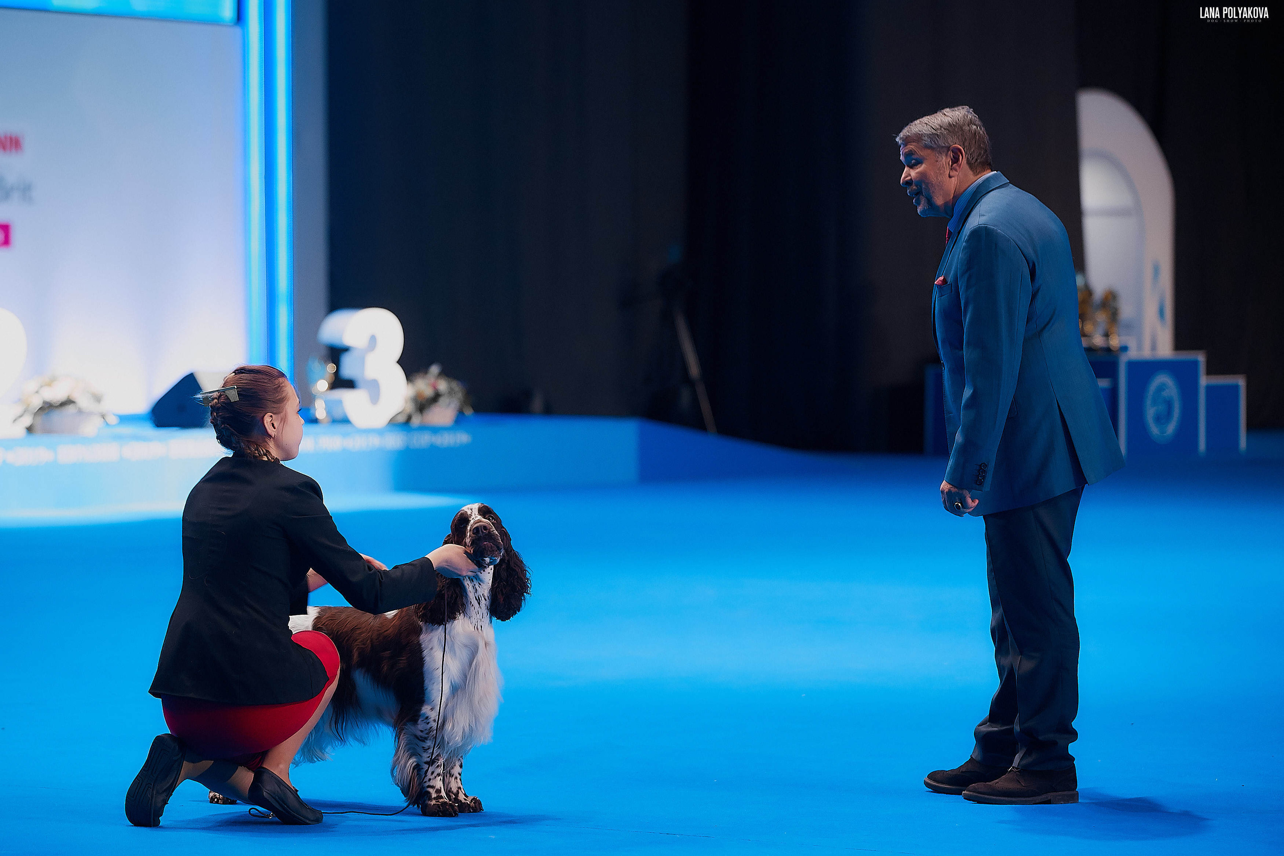 Съемки на выставке. ЕВРАЗИЯ 2019, 2 x CACIB
МВЦ КРОКУС ЭКСПО