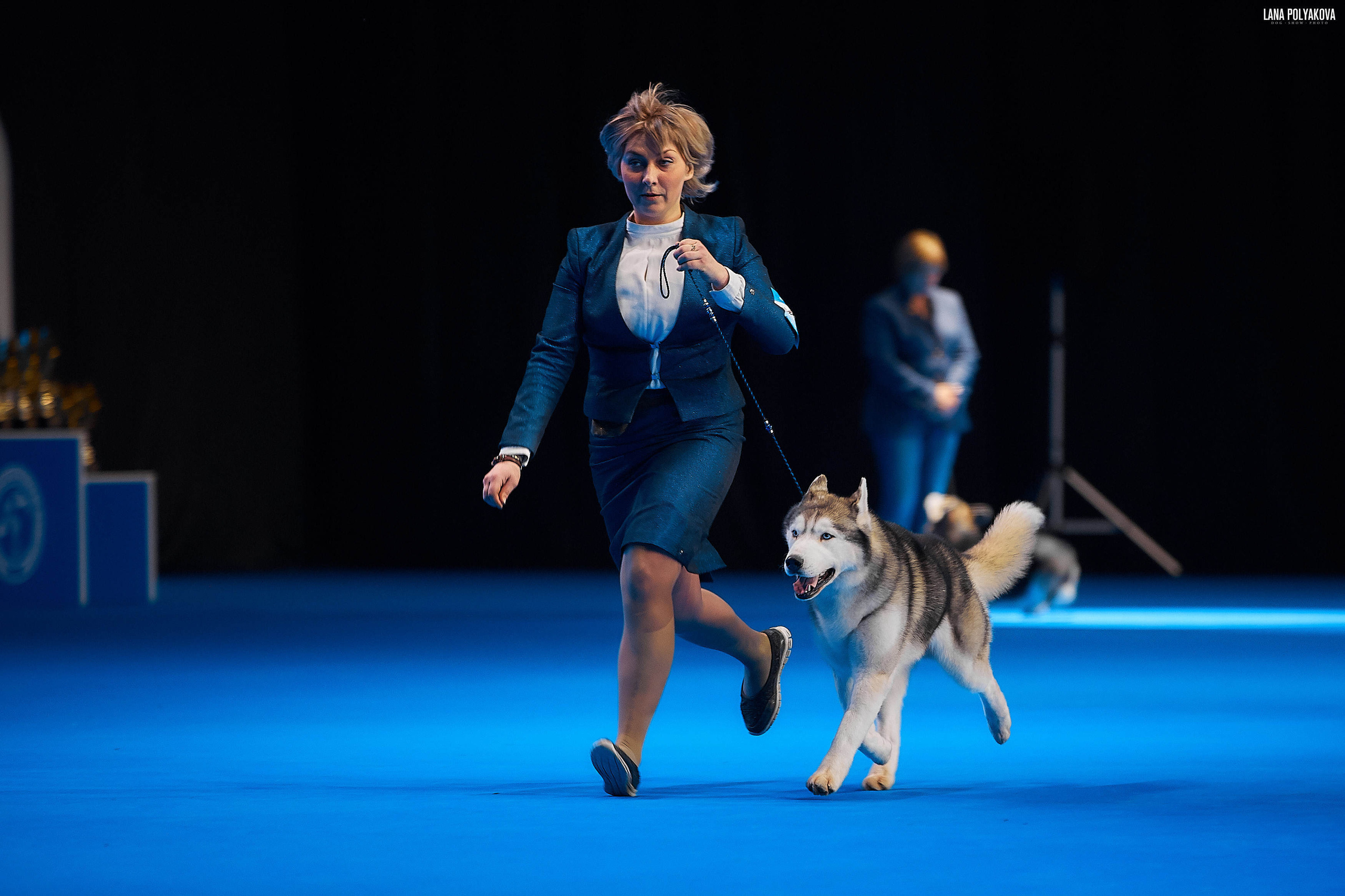 Съемки на выставке. ЕВРАЗИЯ 2019, 2 x CACIB
МВЦ КРОКУС ЭКСПО