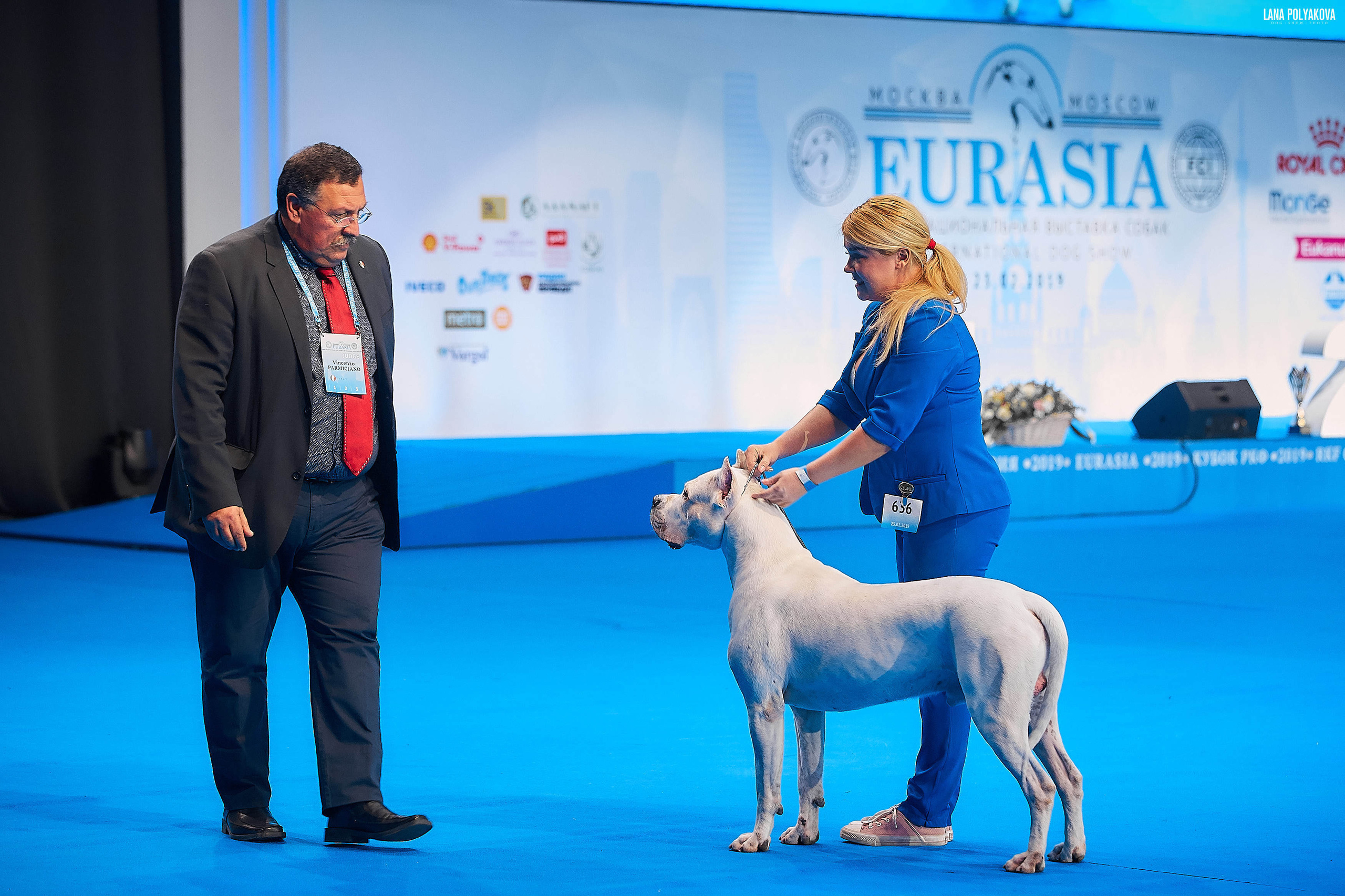 Съемки на выставке. ЕВРАЗИЯ 2019, 2 x CACIB
МВЦ КРОКУС ЭКСПО