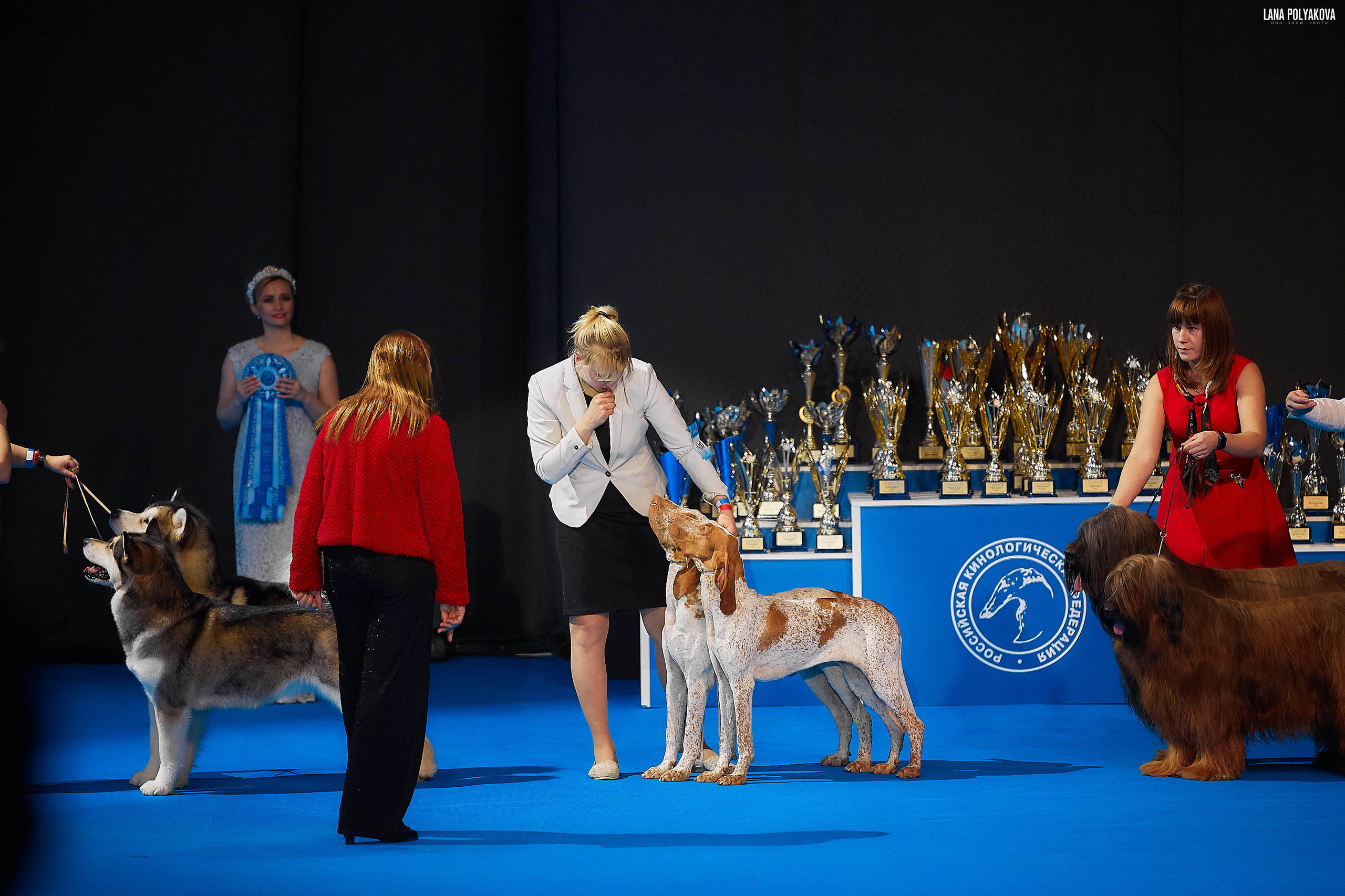 Съемки на выставке. ЕВРАЗИЯ 2019, 2 x CACIB
МВЦ КРОКУС ЭКСПО