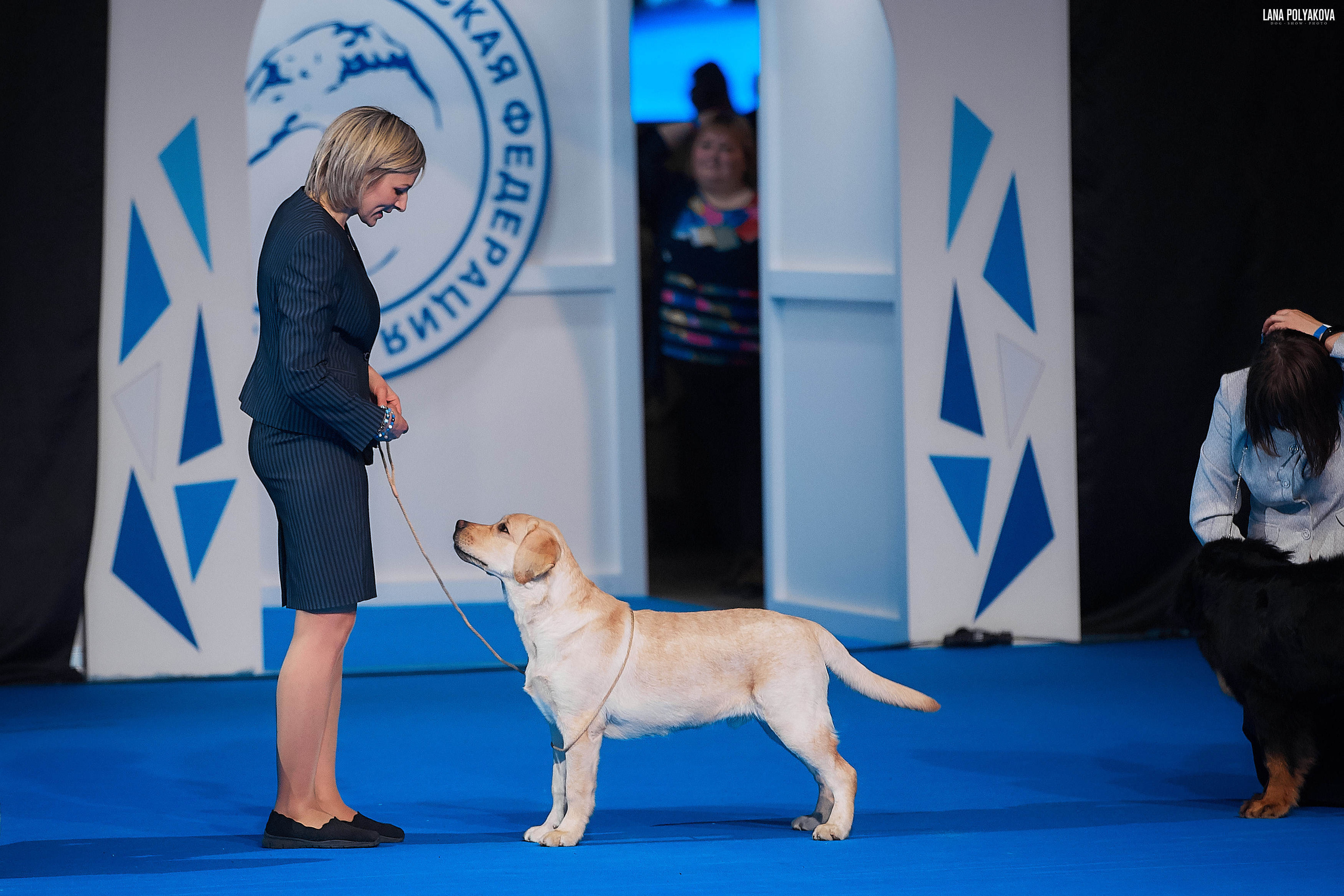Съемки на выставке. ЕВРАЗИЯ 2019, 2 x CACIB
МВЦ КРОКУС ЭКСПО